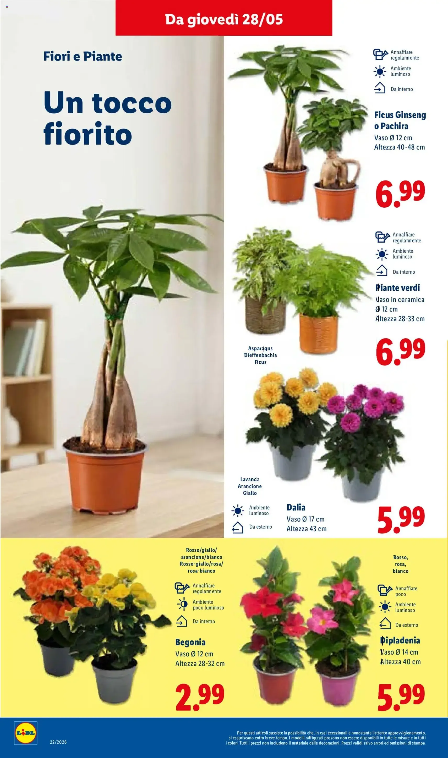 Lidl volantino - volantino valido dal 28/05/2026 pagina 34 di 53