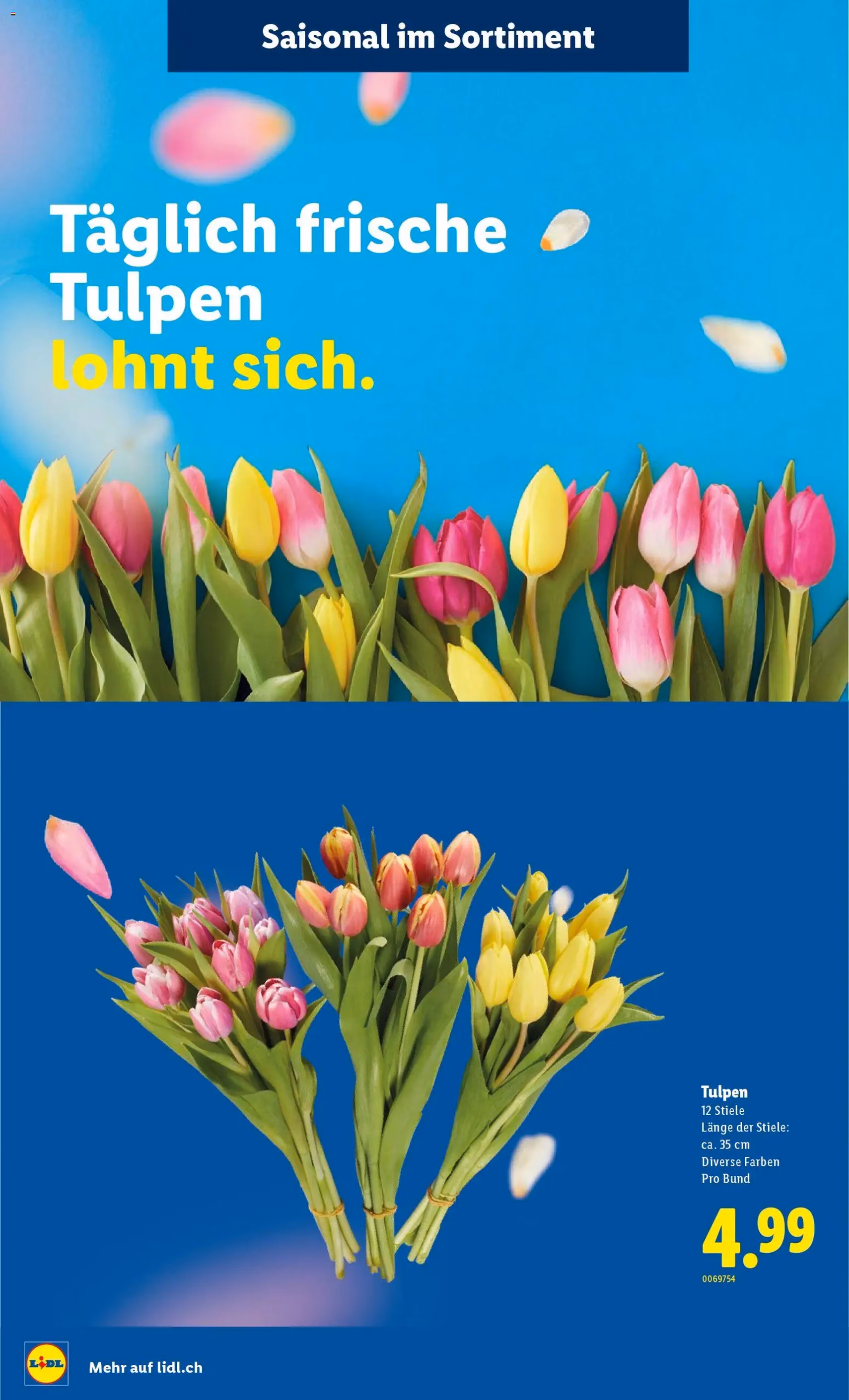 Lidl Aktionen - Gültiger Prospekt ab 12.02.2026, Seite 33 von insgesamt 34