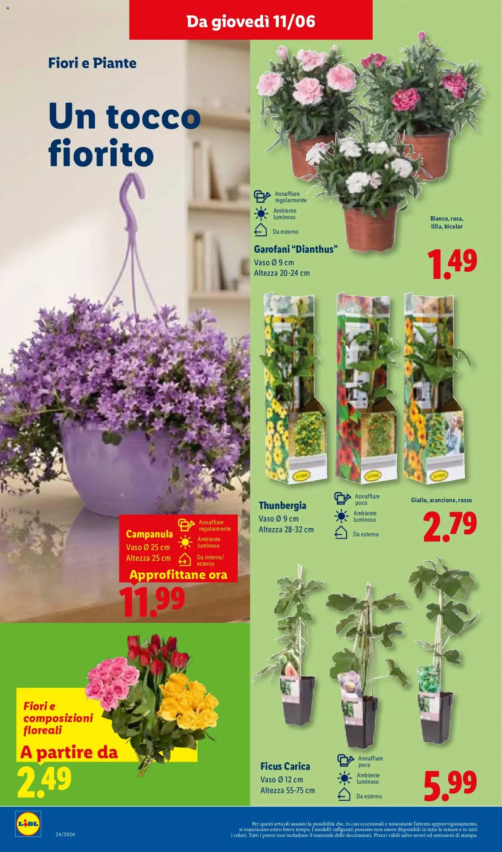 Lidl volantino - volantino valido dal 11/06/2026 pagina 42 di 52