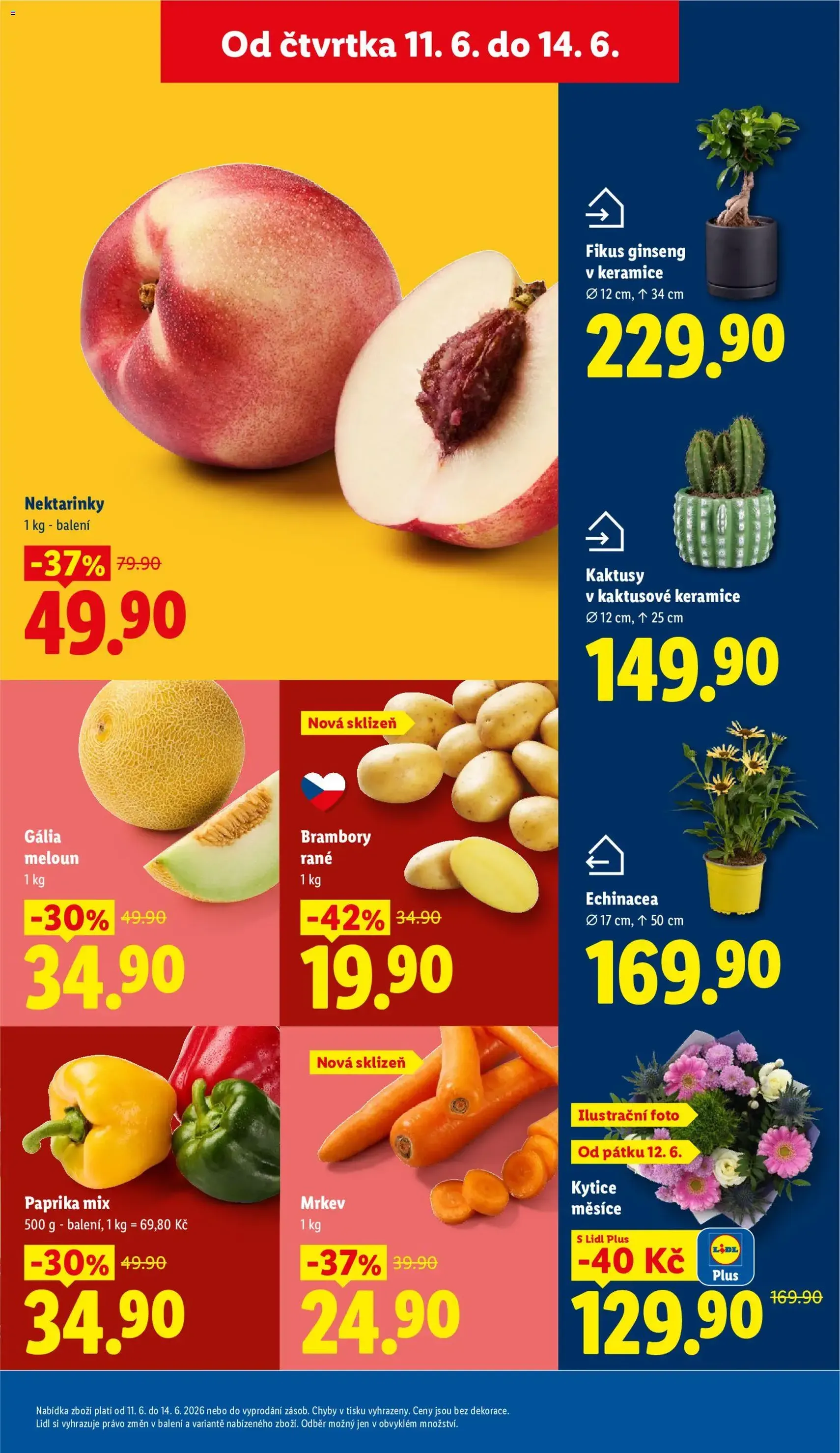Lidl leták - platný leták od 11.06.2026 strana 13 z 57