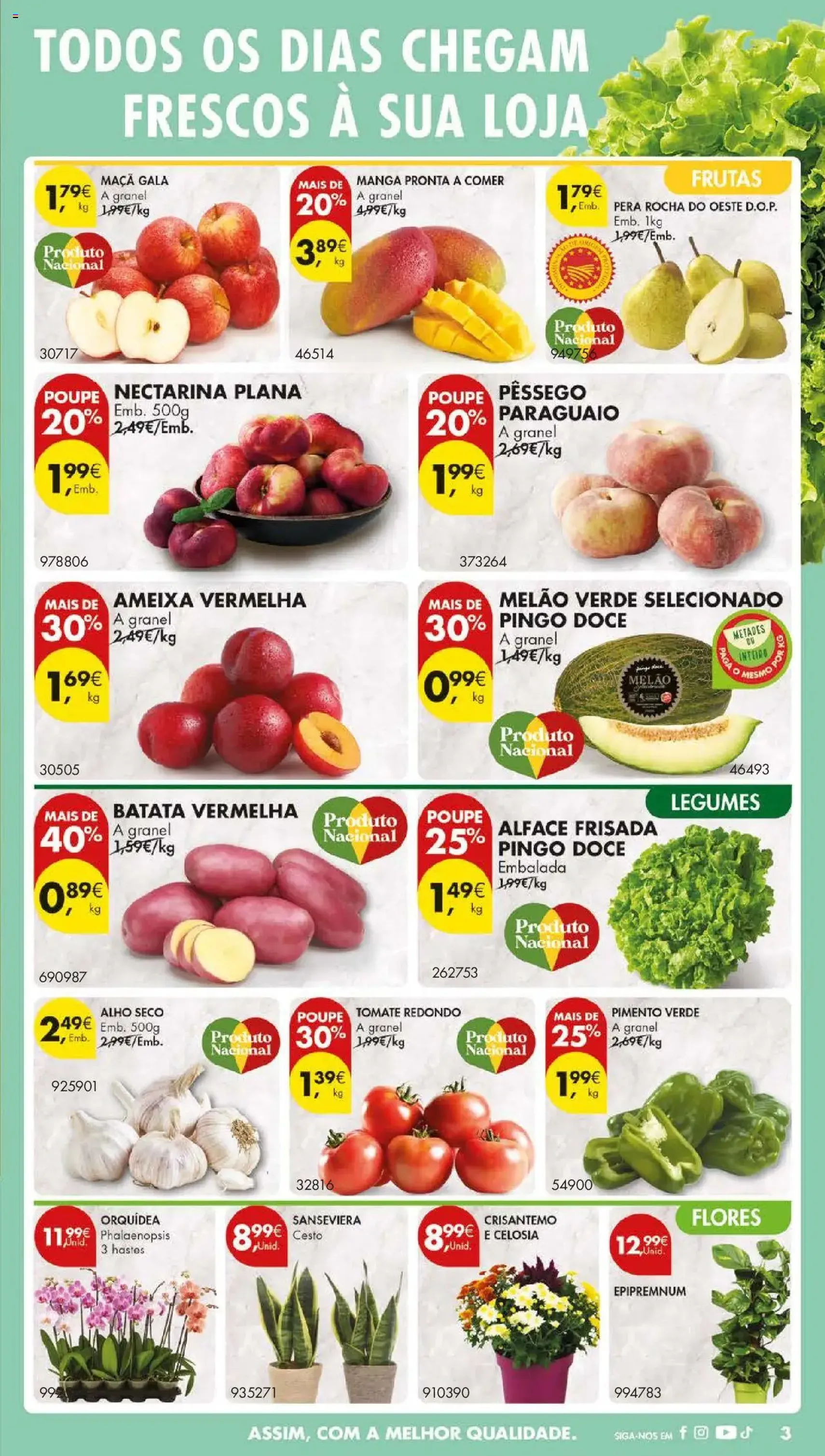 Pingo Doce folheto - folheto válido a partir de 16/09/2025 página 5 de 56