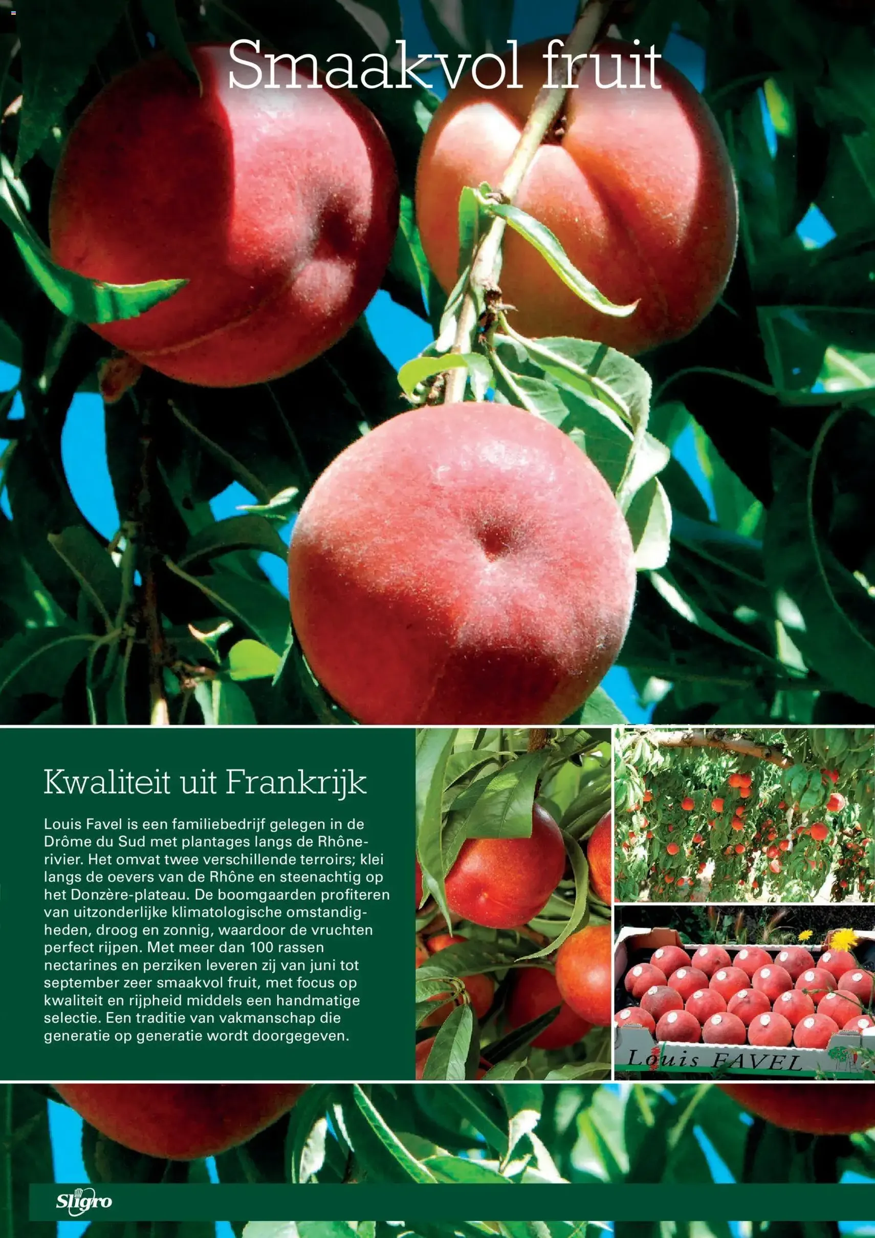 Sligro folder - geldige folder vanaf 02-07-2026 pagina 10 van 77