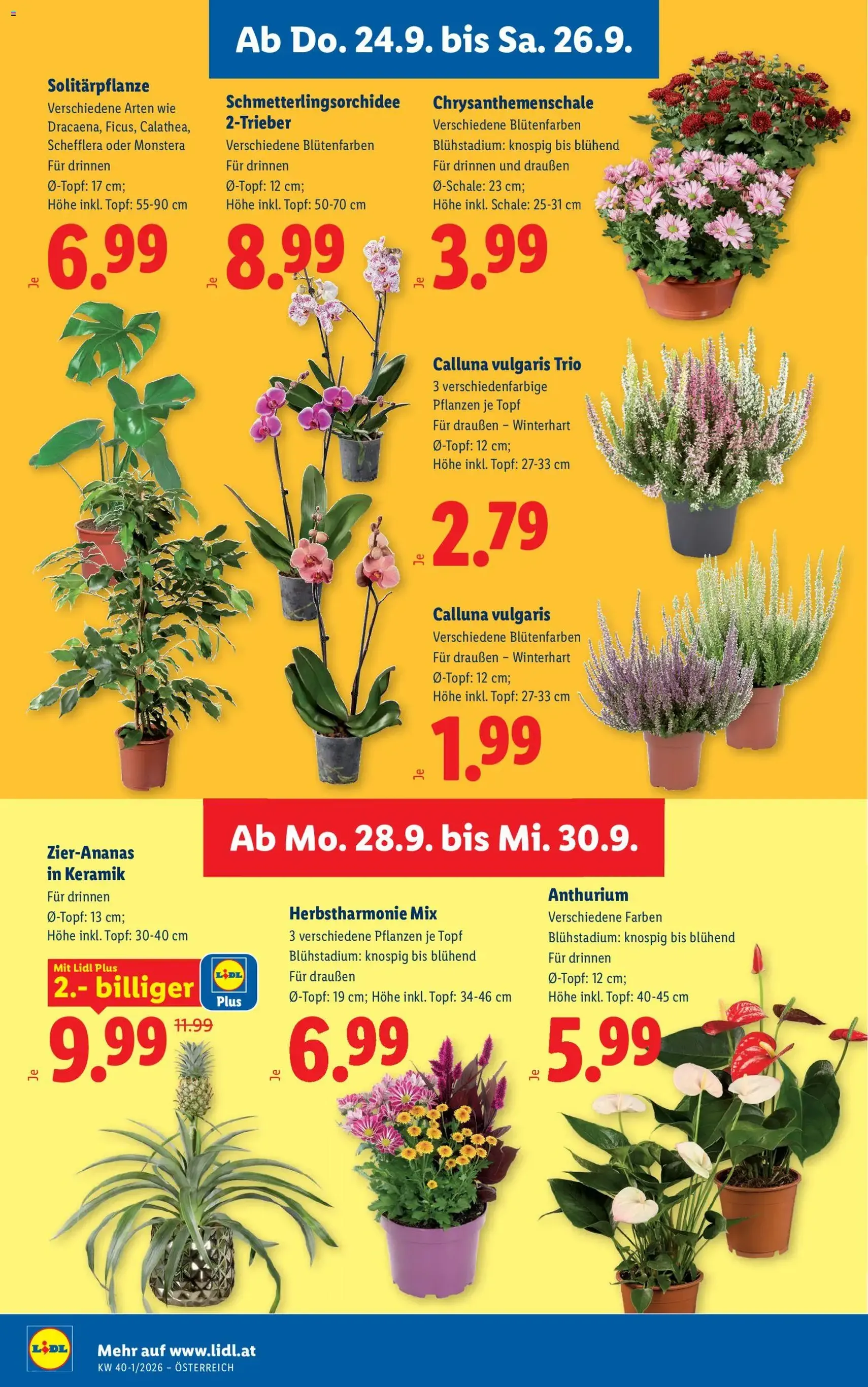 Lidl - Flugblatt - Gültiger Prospekt ab 24.09.2026, Seite 28 von insgesamt 55