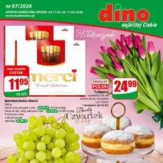 Dino Gazetka - podgląd gazetki ważnej od 11.02.2026