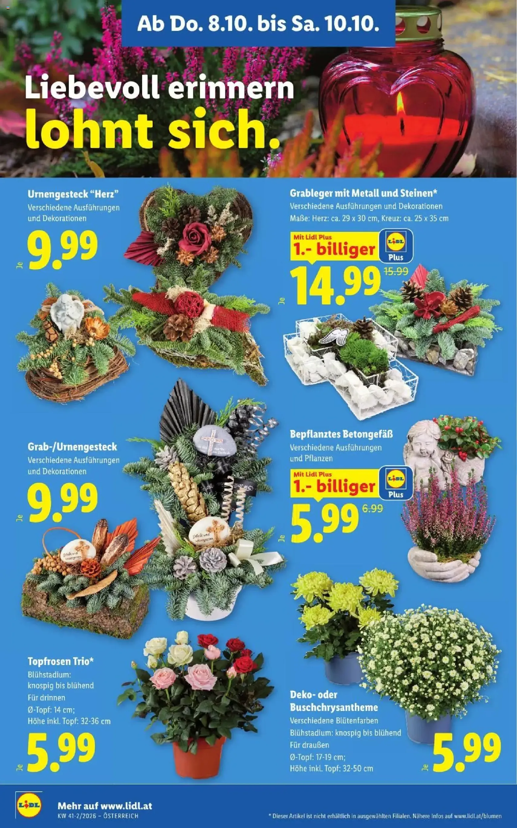Lidl Flugblatt - Gültiger Prospekt ab 08.10.2026, Seite 30 von insgesamt 56