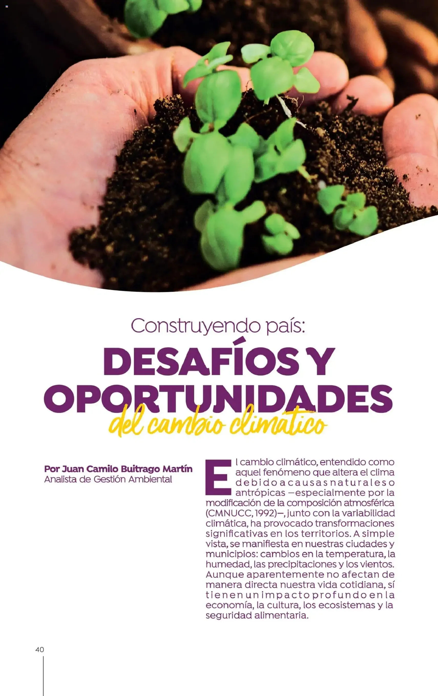 Colsubsidio - Catálogo - folleto válido desde 01/10/2025 página 40 de 48