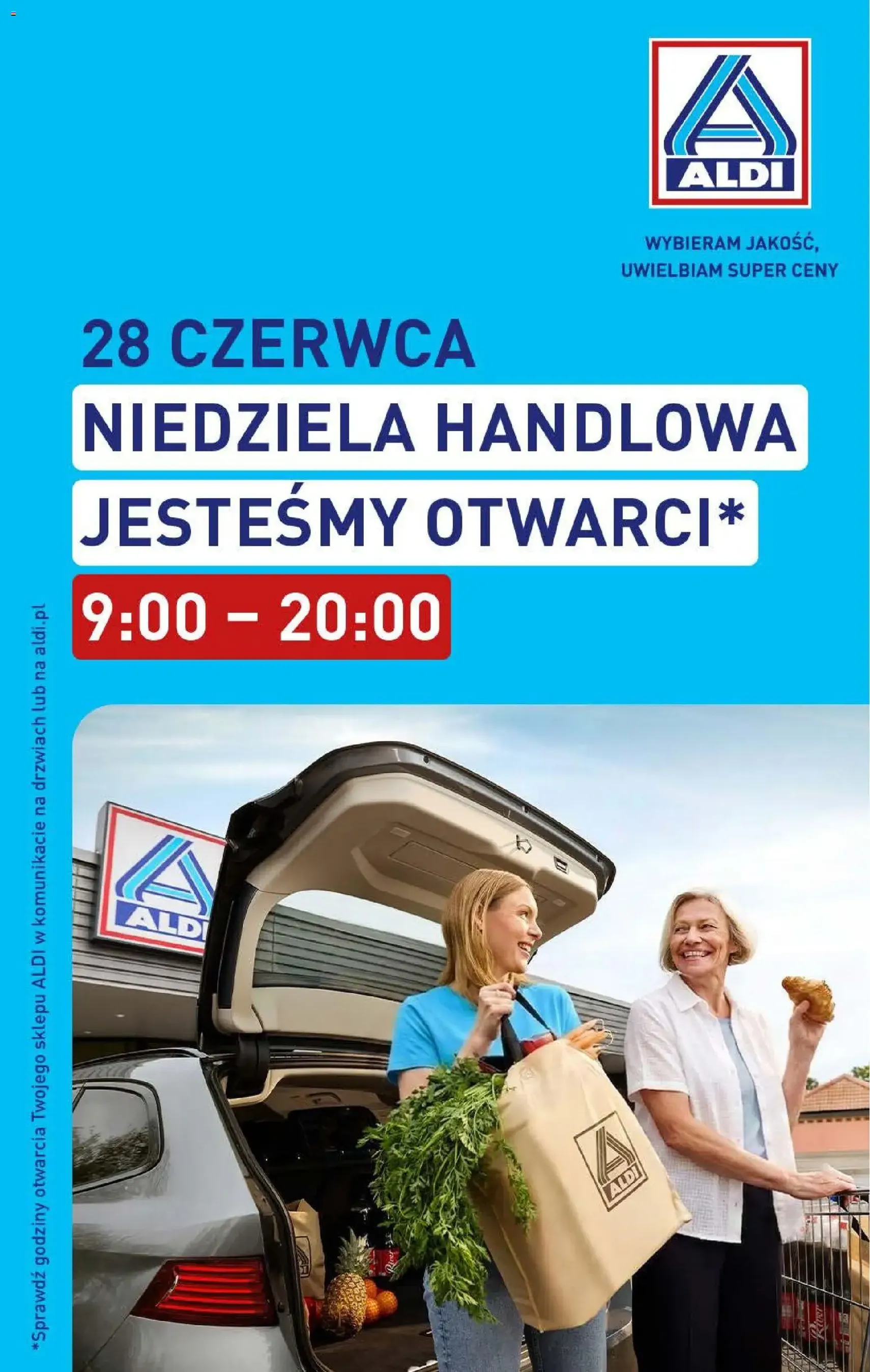 Aldi gazetka - ważny gazetka od 22.06.2026 strona 41 z 51