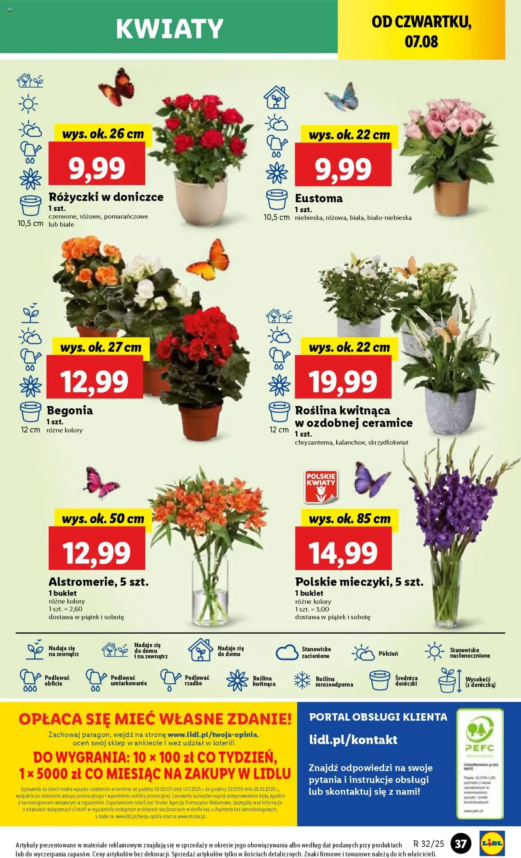 Lidl Gazetka - ważny gazetka od 07.08.2025 strona 49 z 58 Lidl Gazetka - ważny gazetka od 07.08.2025 strona 49 z 58