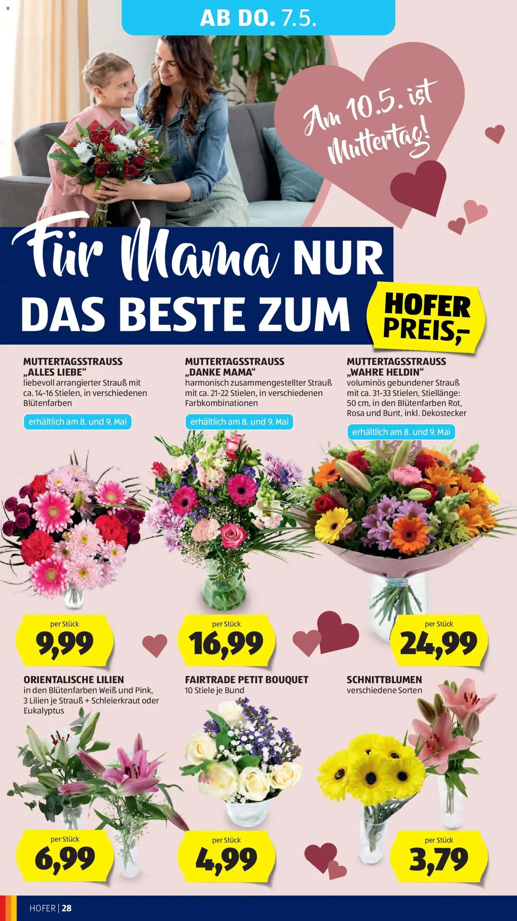 Hofer Flugblatt - Gültiger Prospekt ab 29.04.2026, Seite 34 von insgesamt 47