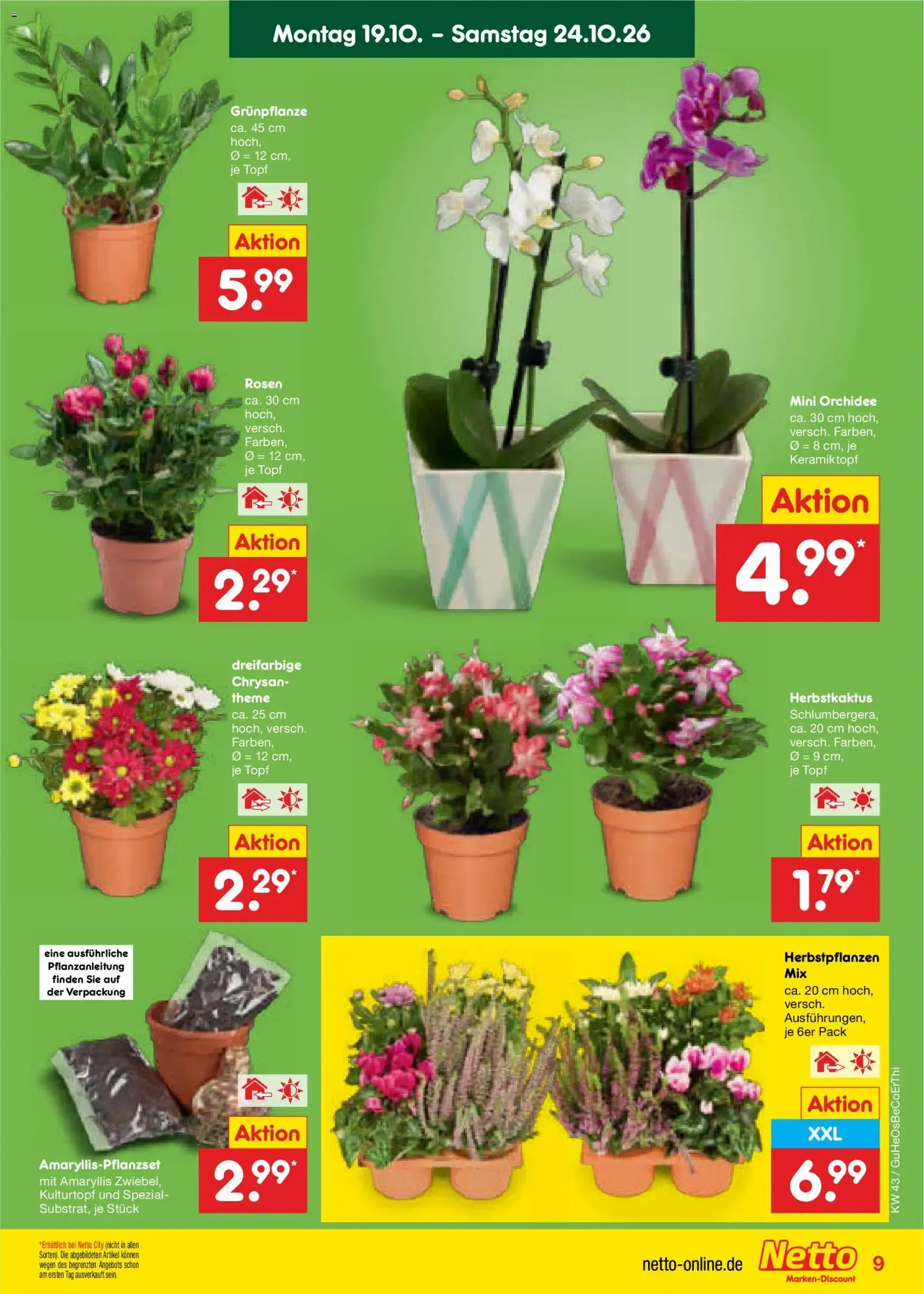 Netto Marken-Discount Prospekt - Gültiger Prospekt ab 19.10.2026, Seite 9 von insgesamt 75