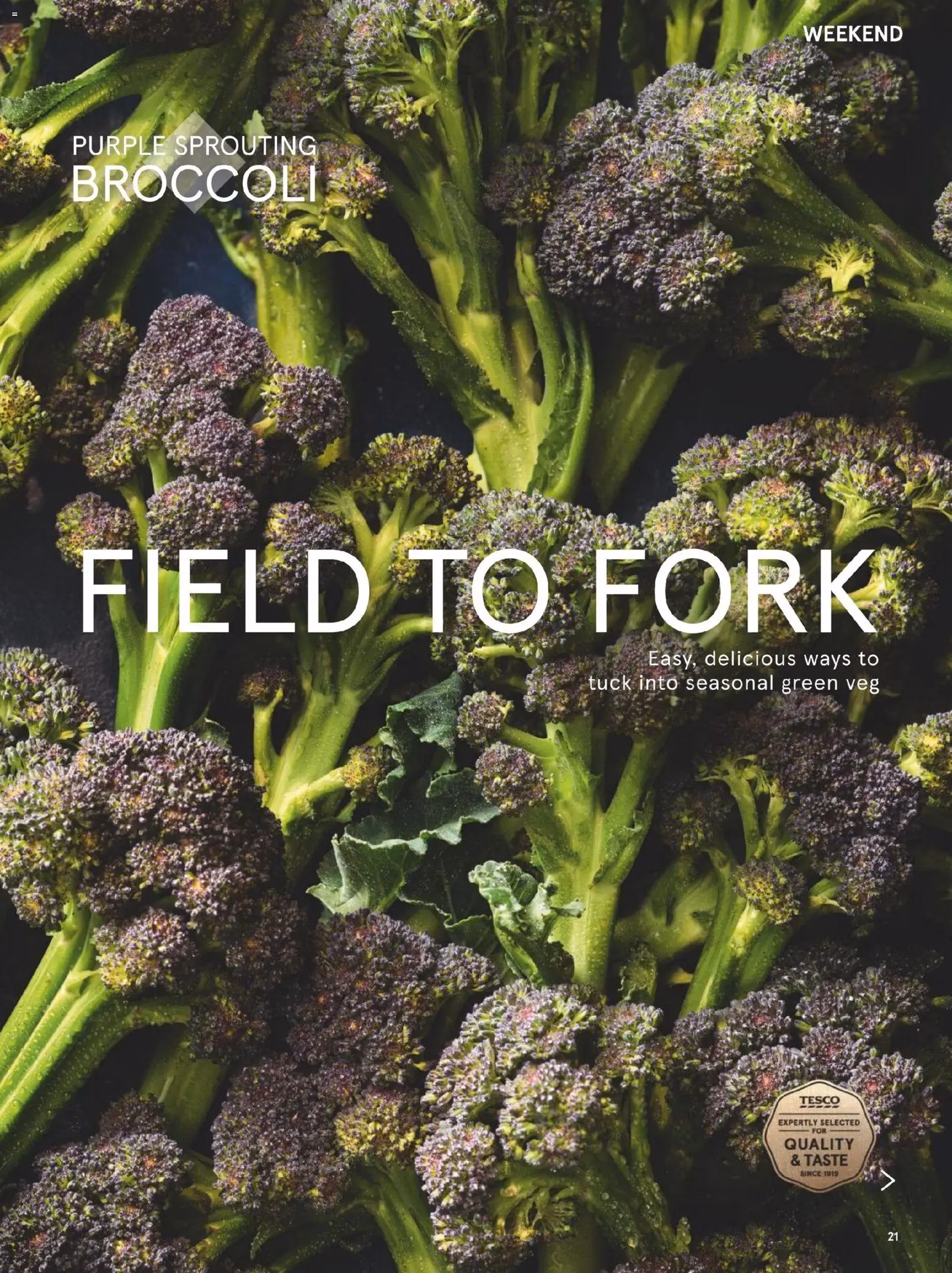 Tesco - Tesco Magazine February 2026 - valid flyer from 01/02/2026, page 21 of 100