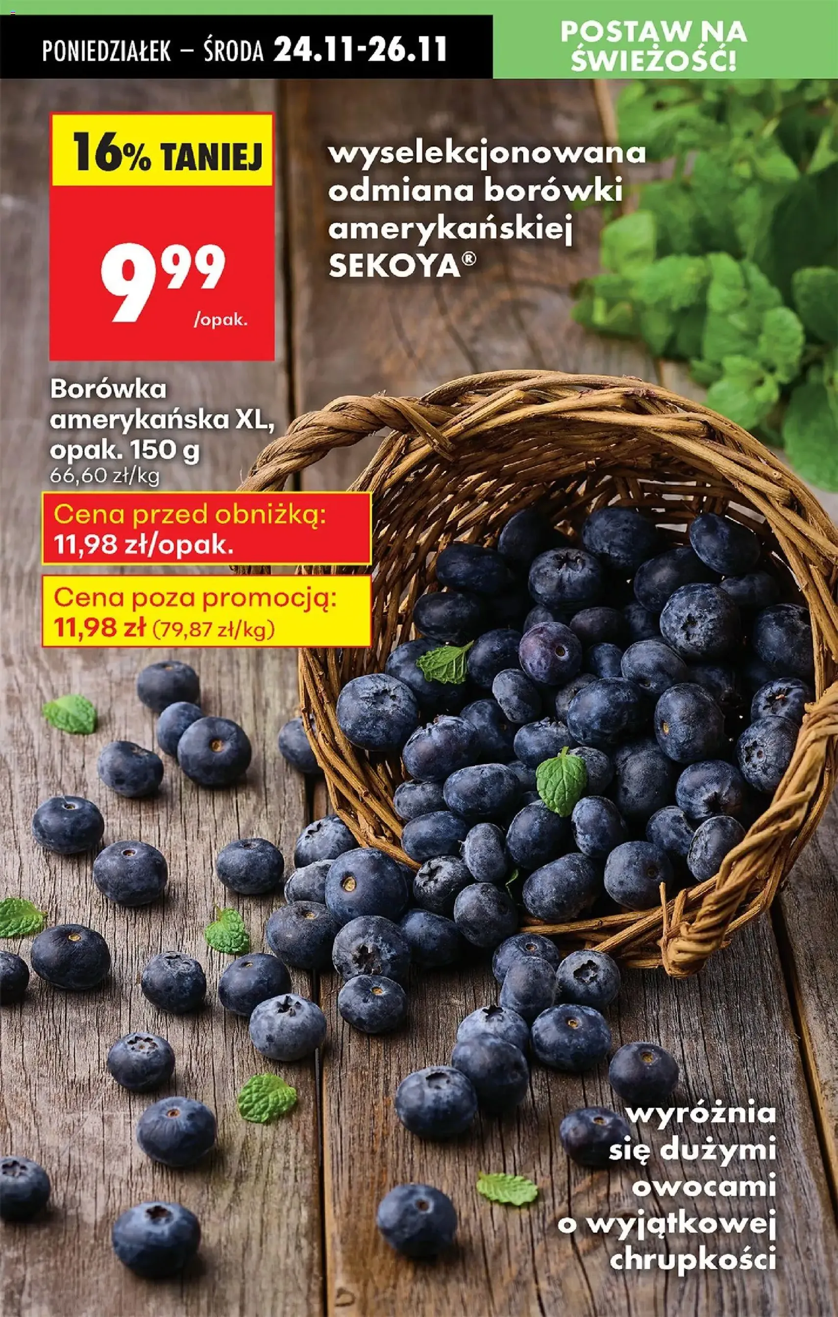 Biedronka Black Friday - ważny gazetka od 24.11.2025 strona 32 z 95