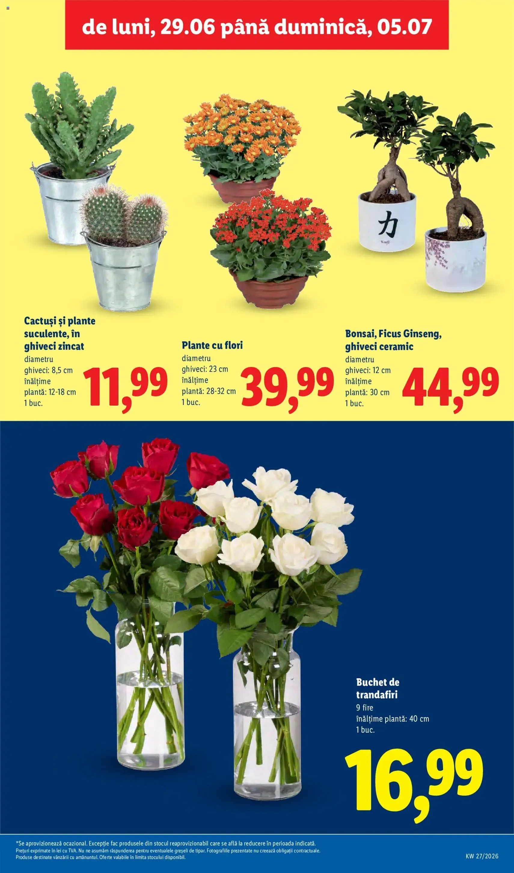 Lidl Catalog - cataloage valabile începând cu 29.06.2026 pagina 55 din 96