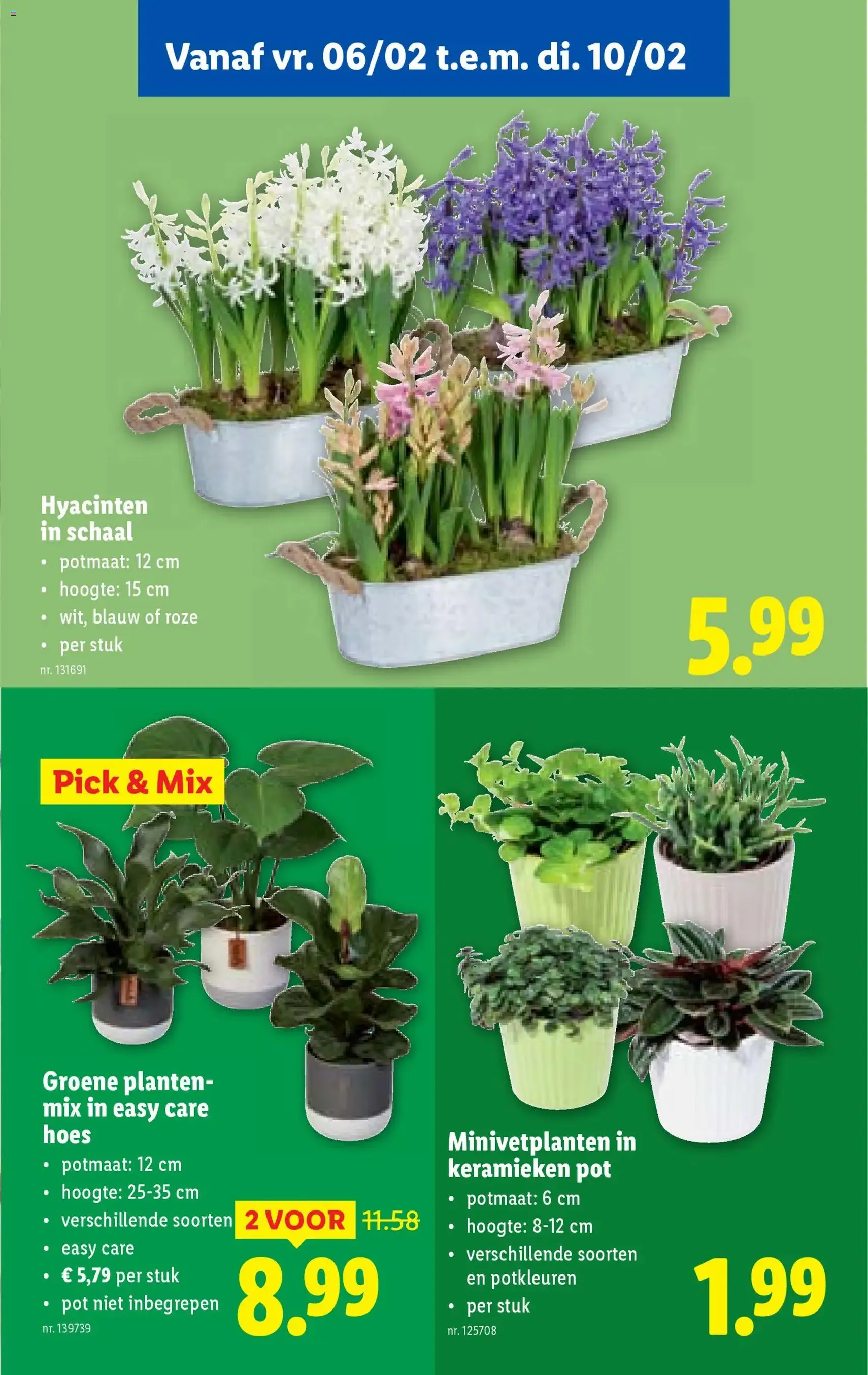 Lidl Folder week 6 - geldige folder vanaf 04/02/2026 pagina 49 van 62