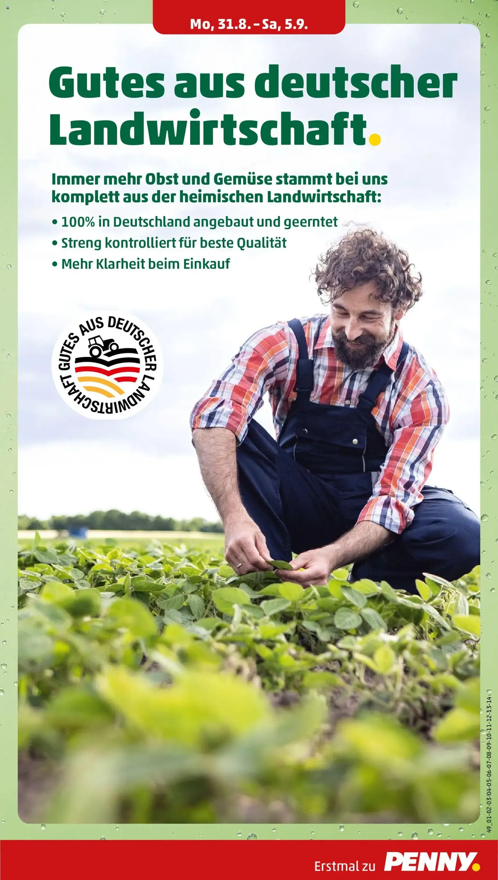 Penny Prospekt - Gültiger Prospekt ab 31.08.2026, Seite 7 von insgesamt 53