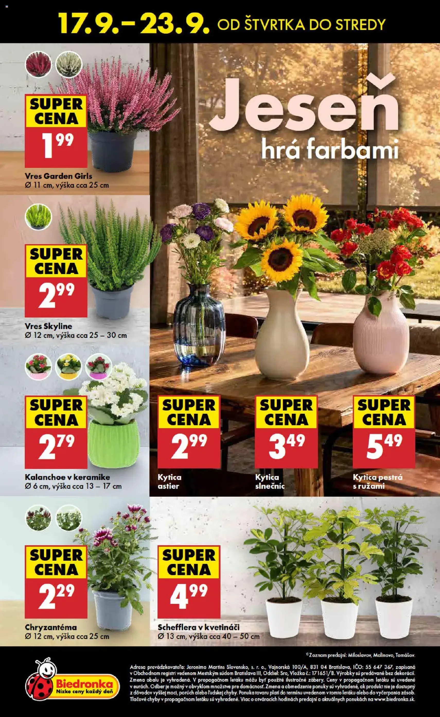 Biedronka leták - platný leták od 17.09.2026 strana 48 z 48