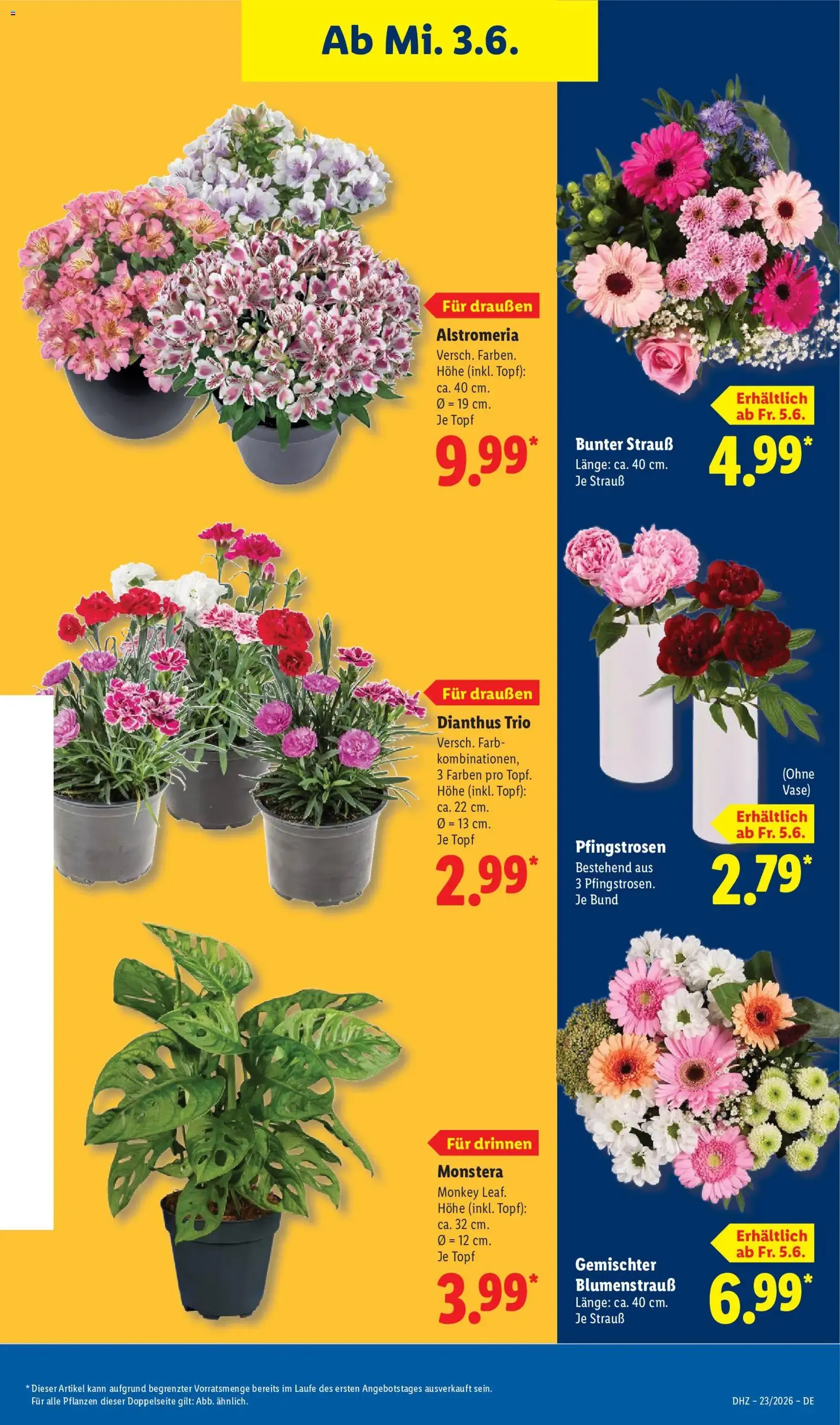 Lidl Prospekt - Gültiger Prospekt ab 01.06.2026, Seite 69 von insgesamt 71