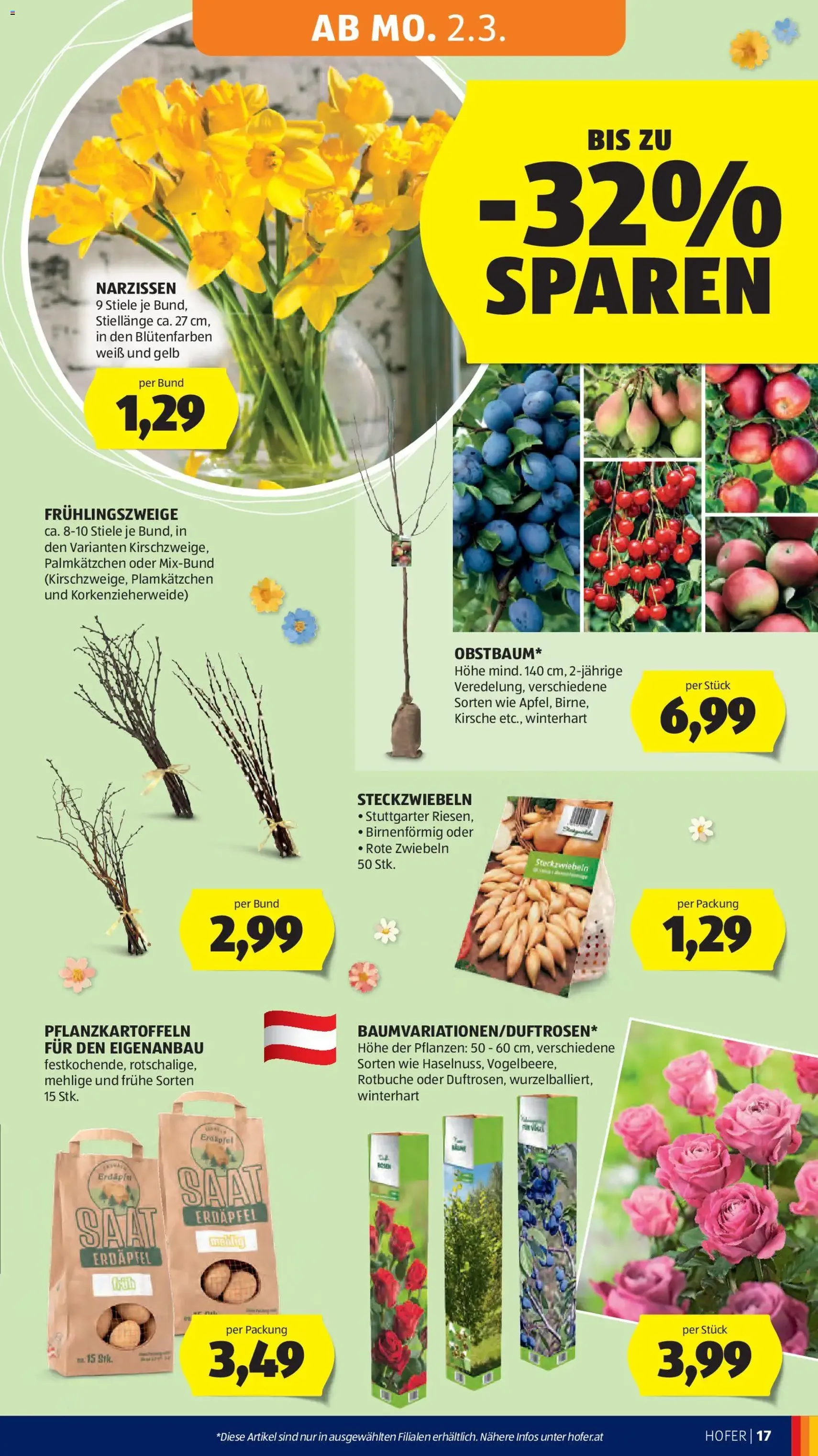 Hofer Flugblatt - Gültiger Prospekt ab 25.02.2026, Seite 21 von insgesamt 41