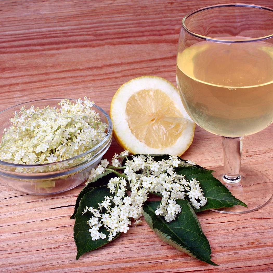 Vino di fiori di sambuco nero