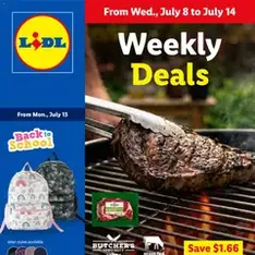 Lidl Weekly Ad - Flyer preview valid from 07/08/2026
