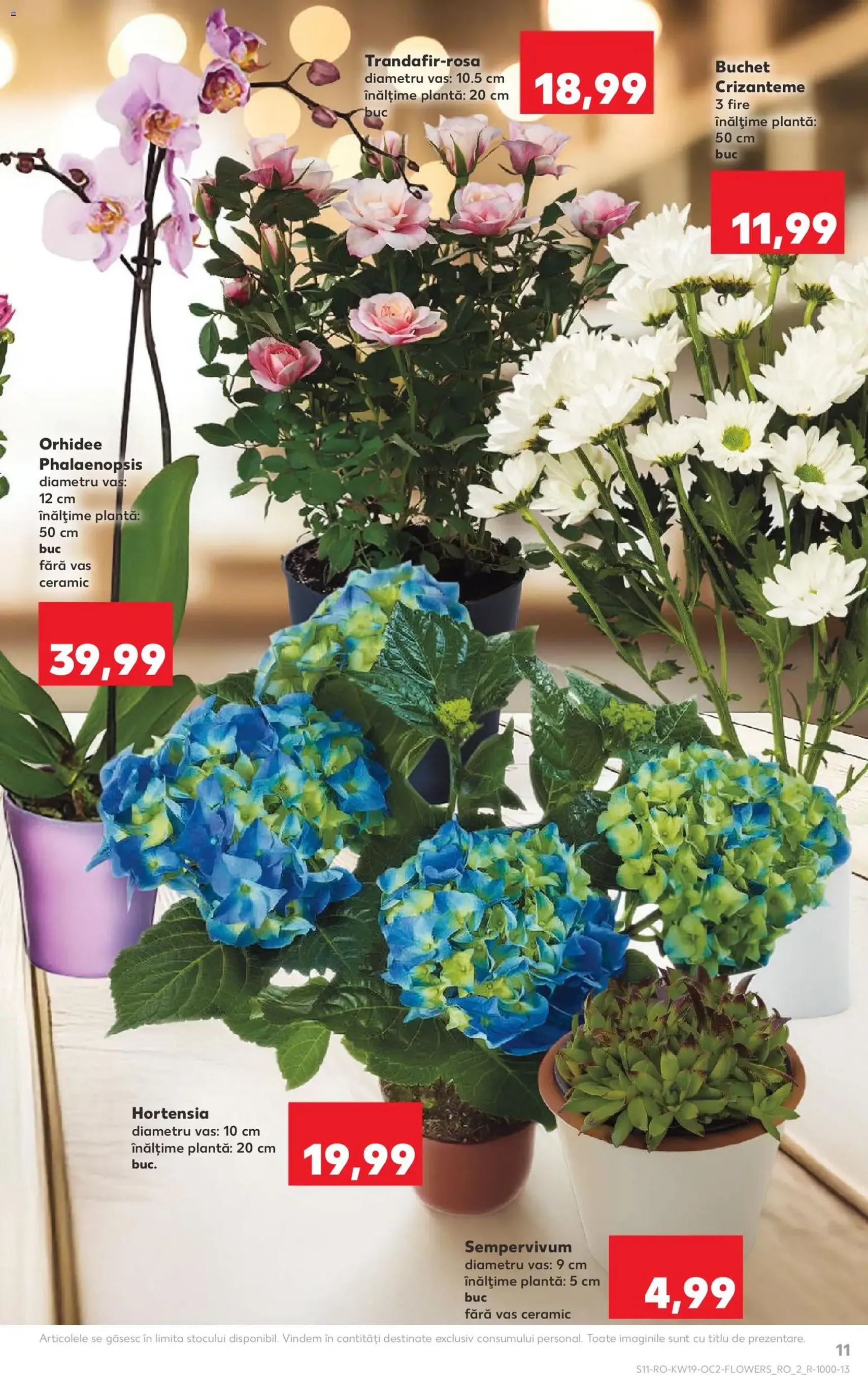Kaufland Catalog - cataloage valabile începând cu 06.05.2026 pagina 11 din 62