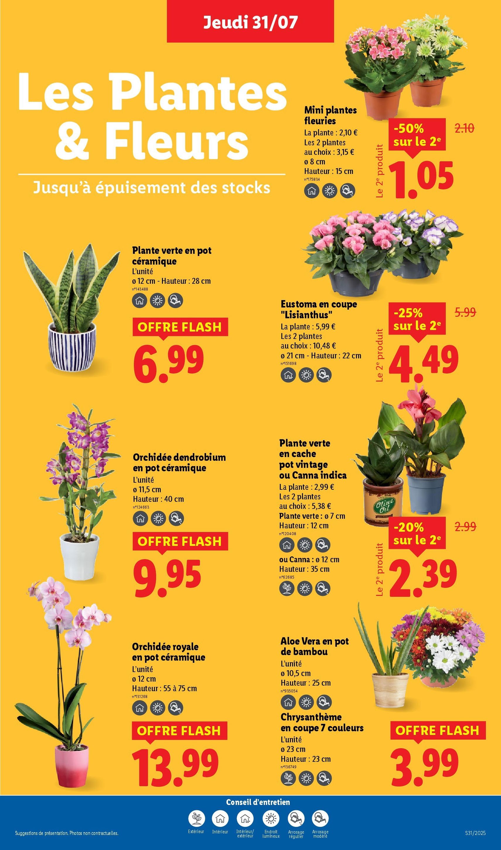LIDL catalogue semaine 30 - brochure valable à partir du 31/07/2025, page 29 sur 73 LIDL catalogue semaine 30 - brochure valable à partir du 31/07/2025, page 29 sur 73