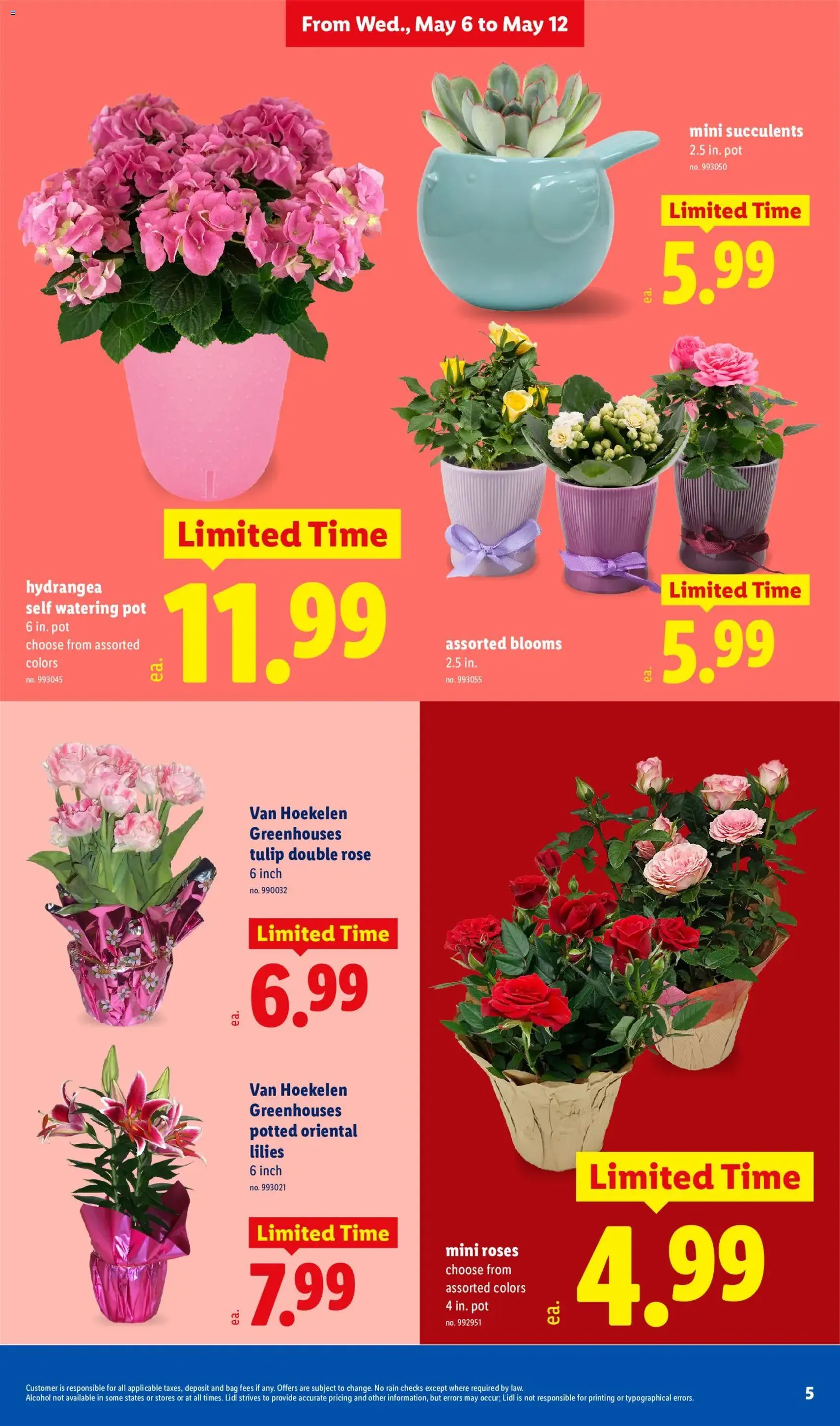 Lidl Weekly Ad - valid flyer from 05/06/2026, page 5 of 40