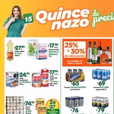 Vista previa del folleto Arteli folleto válido desde 28/11/2025