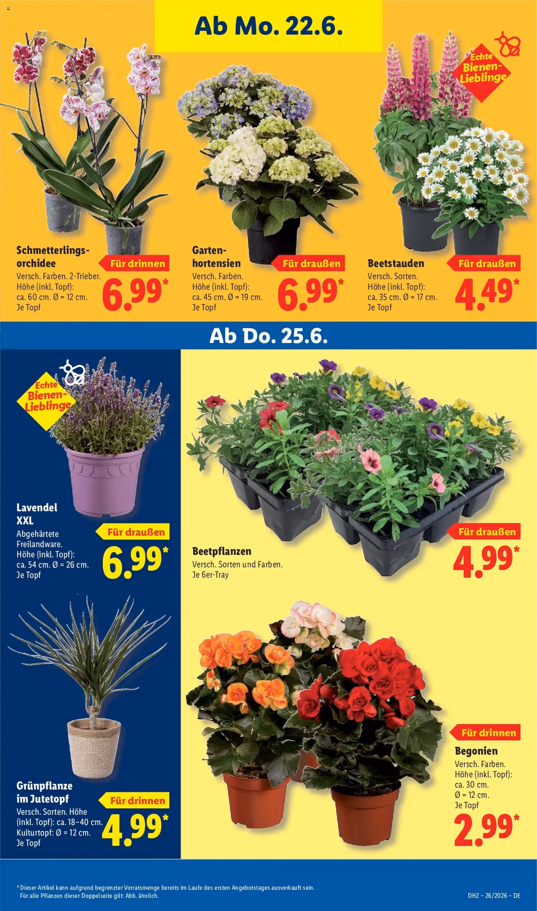 Lidl Prospekt - Gültiger Prospekt ab 22.06.2026, Seite 69 von insgesamt 70