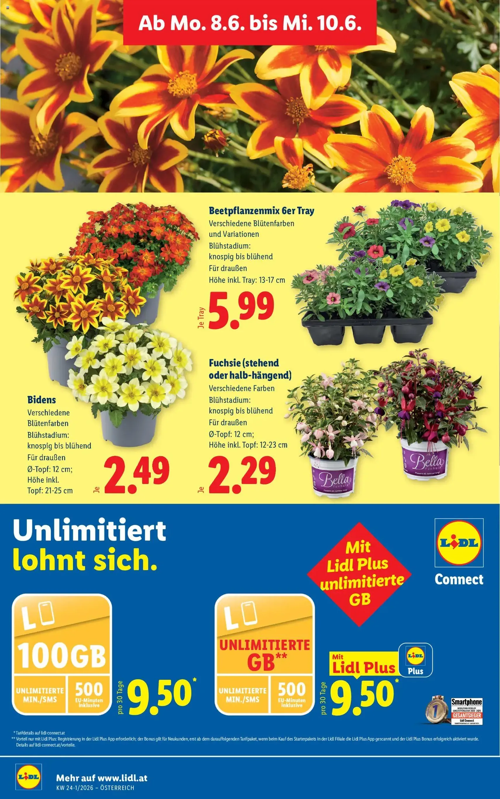 Lidl - Flugblatt - Gültiger Prospekt ab 03.06.2026, Seite 35 von insgesamt 55