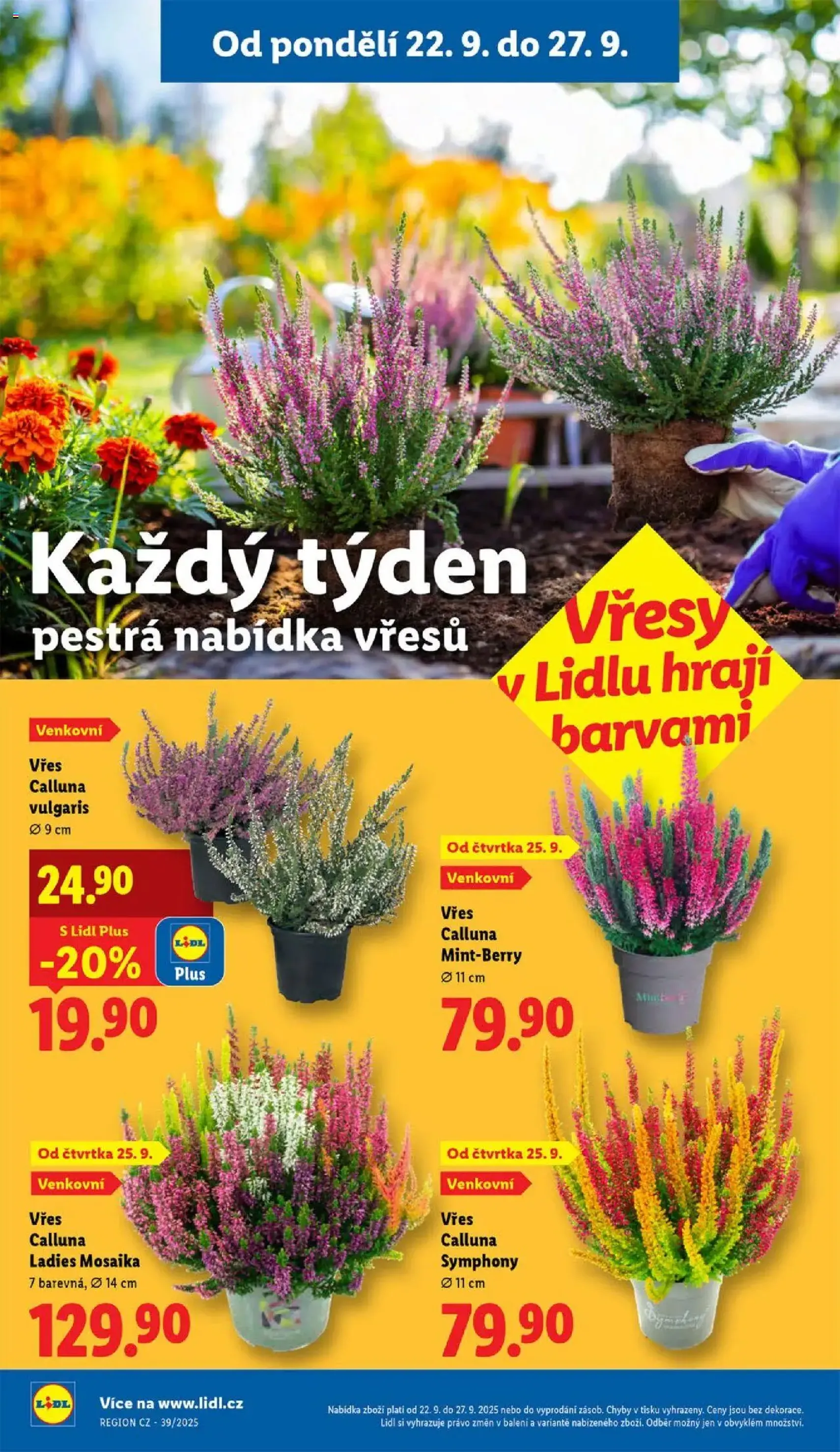 Lidl leták - platný leták od 22.09.2025 strana 31 z 49 Lidl leták - platný leták od 22.09.2025 strana 31 z 49