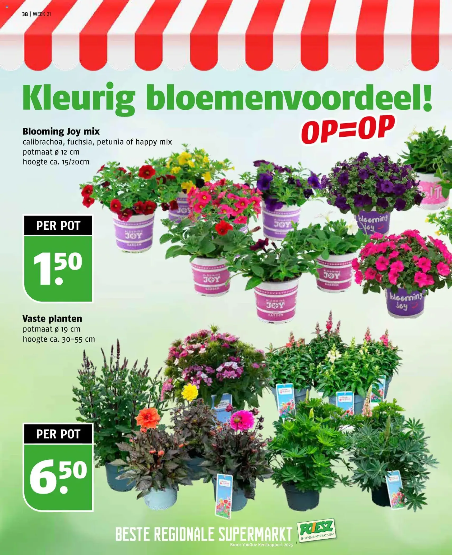 Poiesz folder - geldige folder vanaf 17-05-2026 pagina 38 van 41