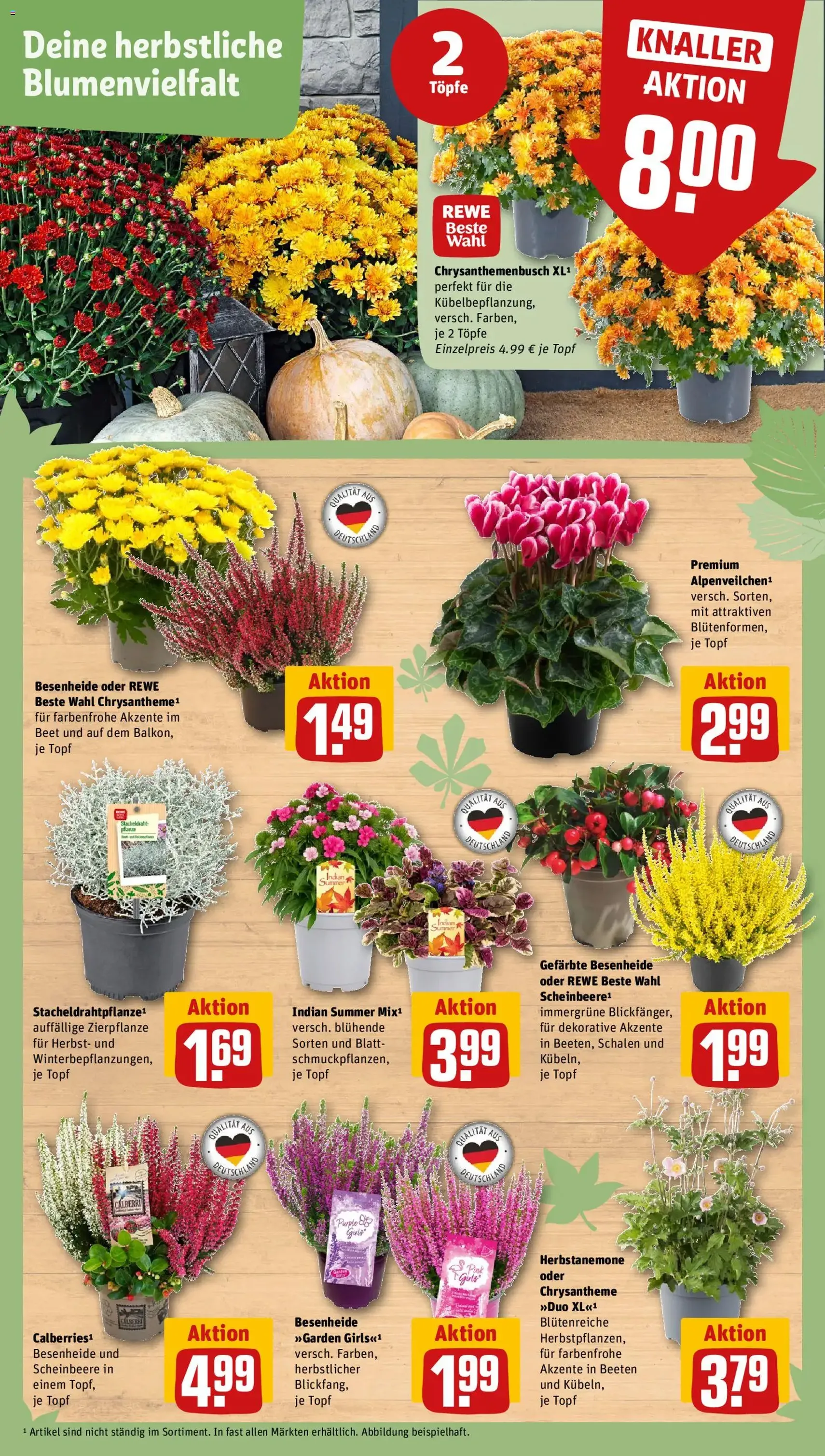 Rewe ihr Kaufpark Prospekt - Gültiger Prospekt ab 14.09.2026, Seite 6 von insgesamt 33