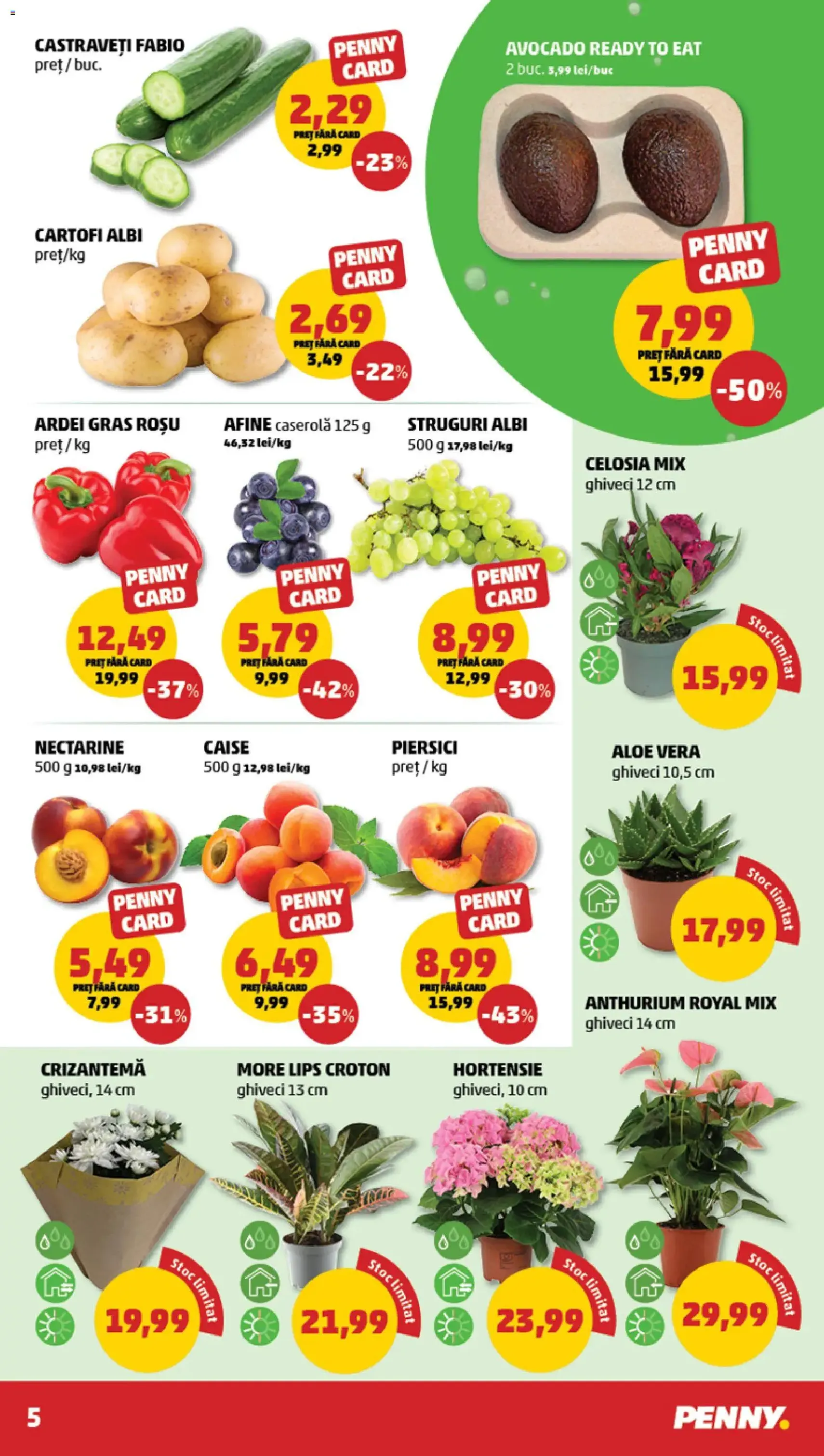 PENNY Catalog - cataloage valabile începând cu 03.06.2026 pagina 5 din 20