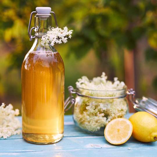 Náhled receptu Bezový sirup