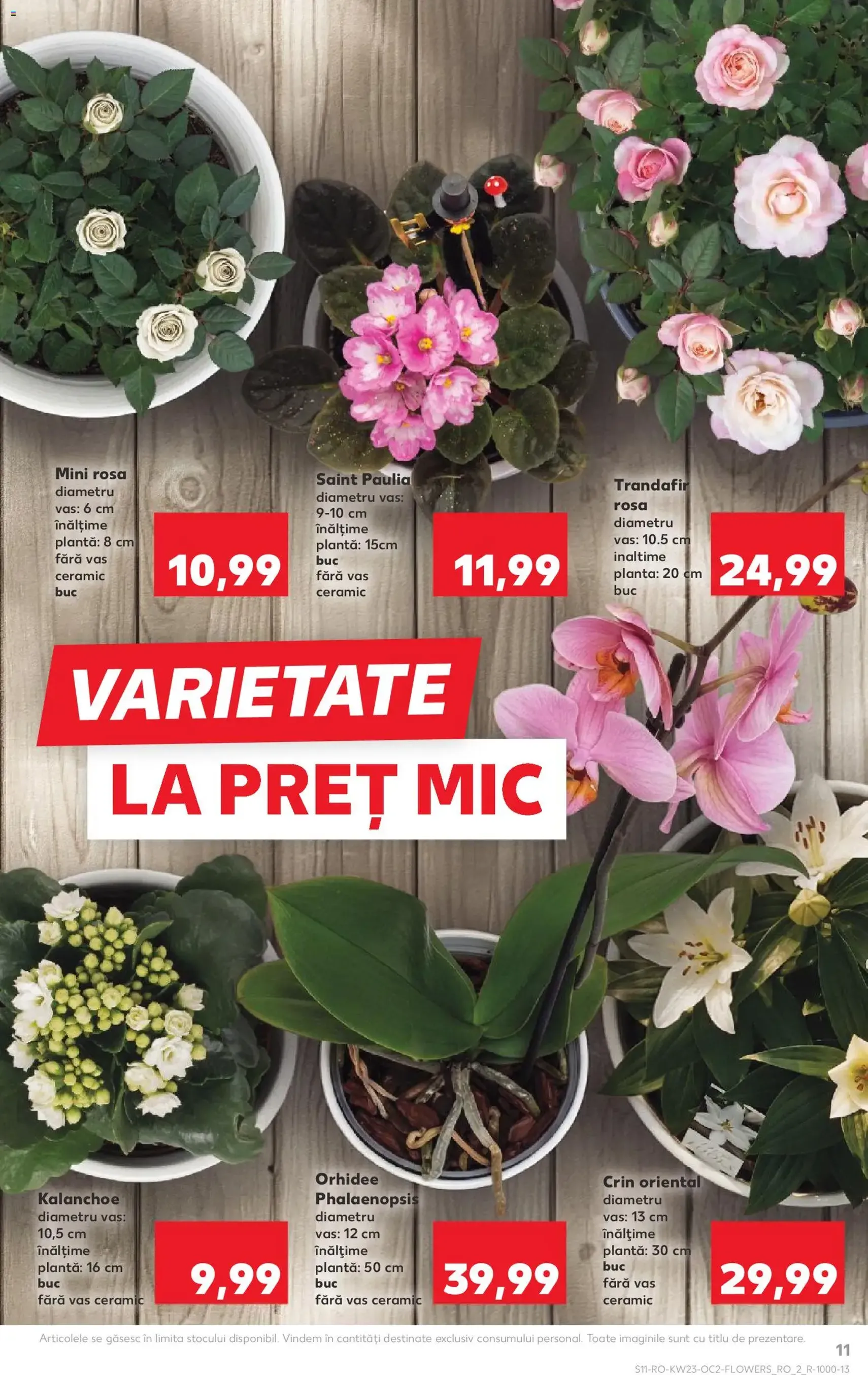 Kaufland Catalog - cataloage valabile începând cu 03.06.2026 pagina 11 din 64