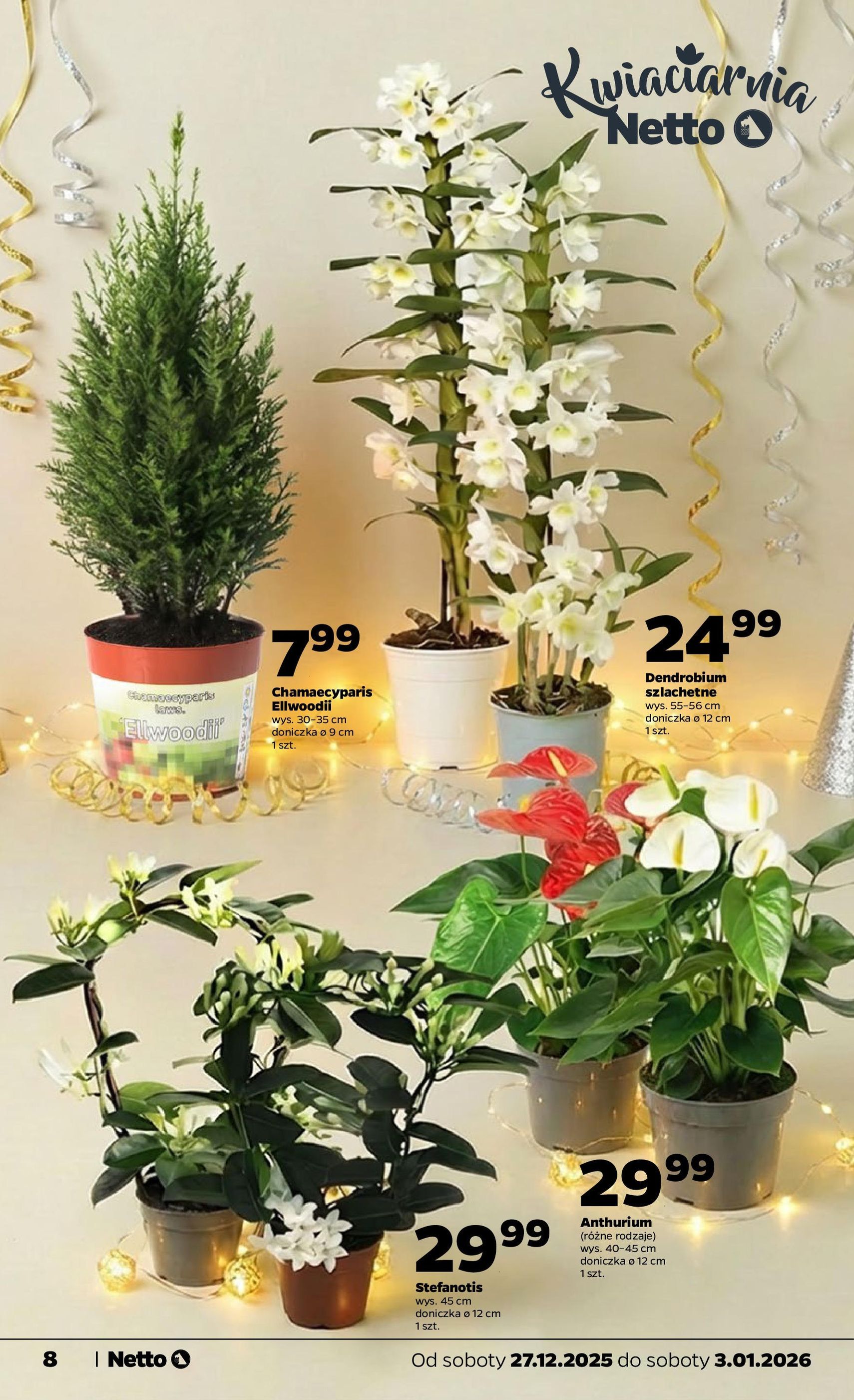 Netto gazetka - Spożywcza - ważny gazetka od 27.12.2025 strona 8 z 41