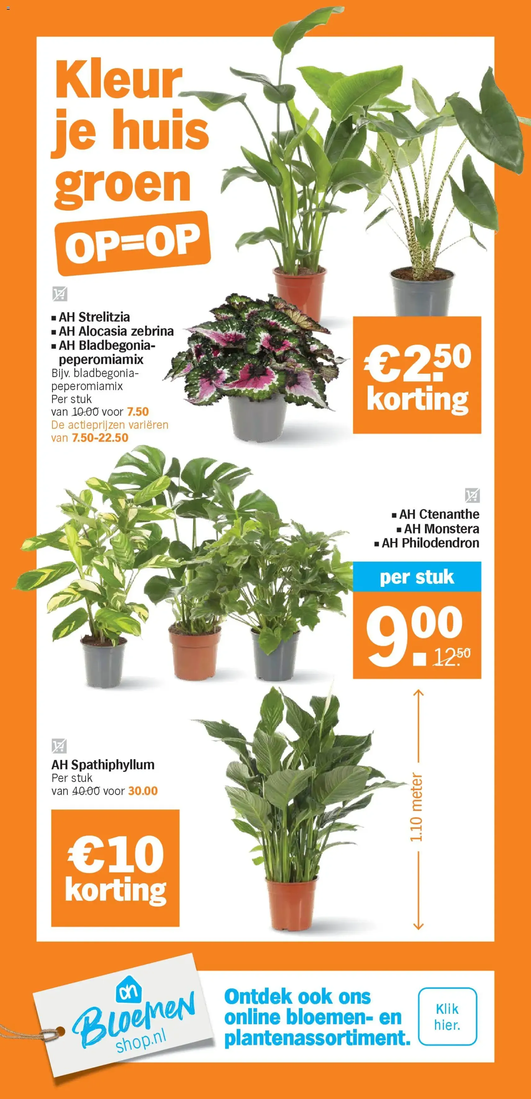 Albert Heijn - Folder week 2 - geldige folder vanaf 05-01-2026 pagina 37 van 42