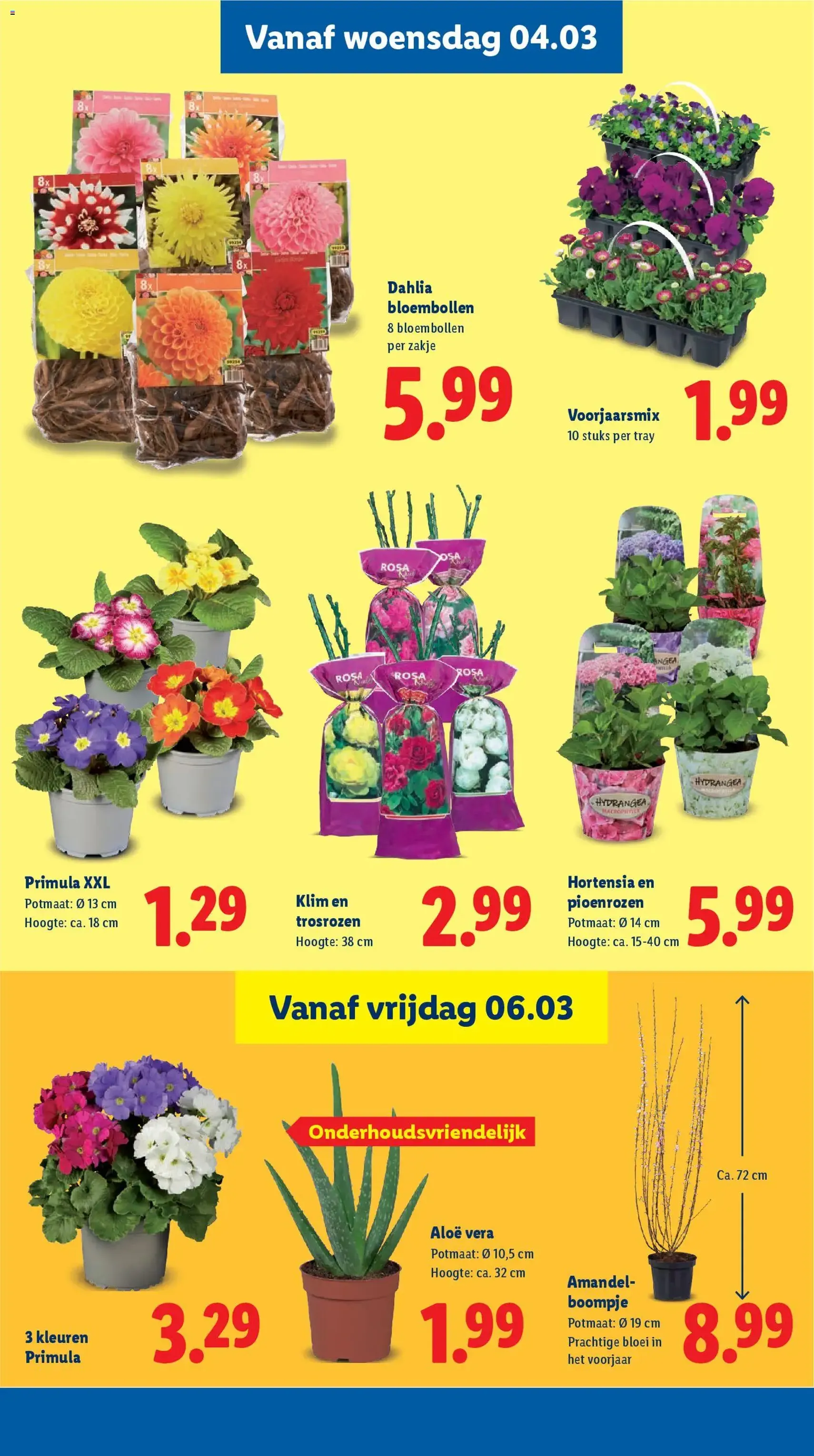 Lidl - Folder week 10 - geldige folder vanaf 02-03-2026 pagina 24 van 46