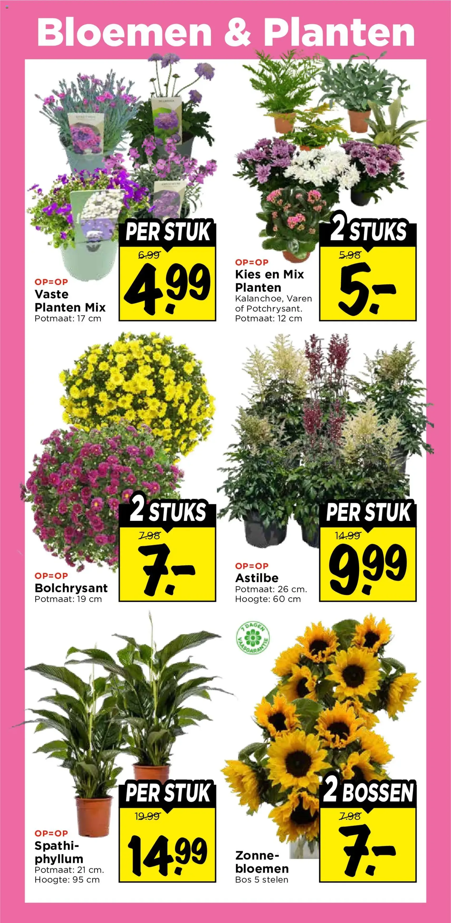 Vomar folder - geldige folder vanaf 19-07-2026 pagina 29 van 38