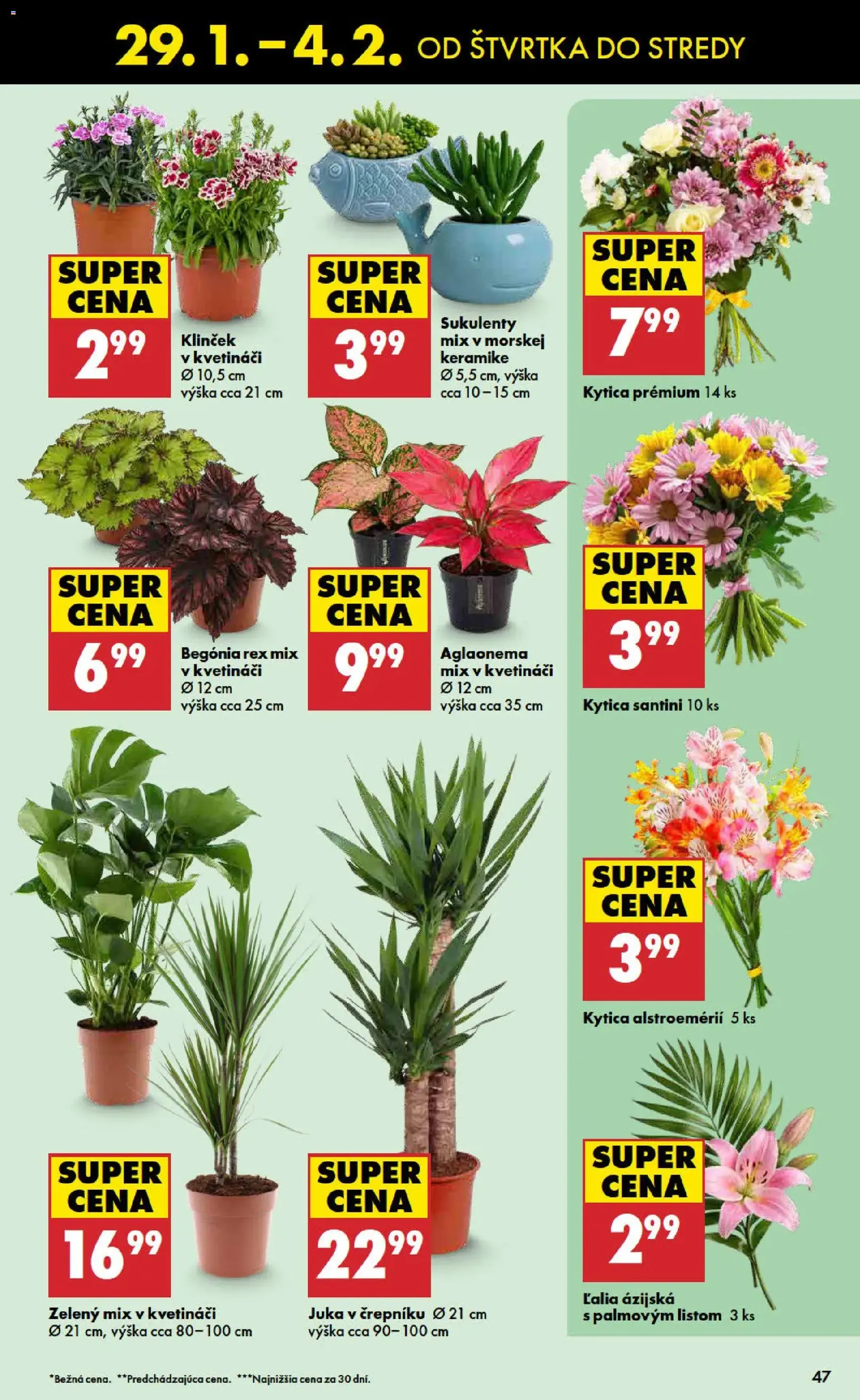 Biedronka leták - platný leták od 29.01.2026 strana 47 z 48