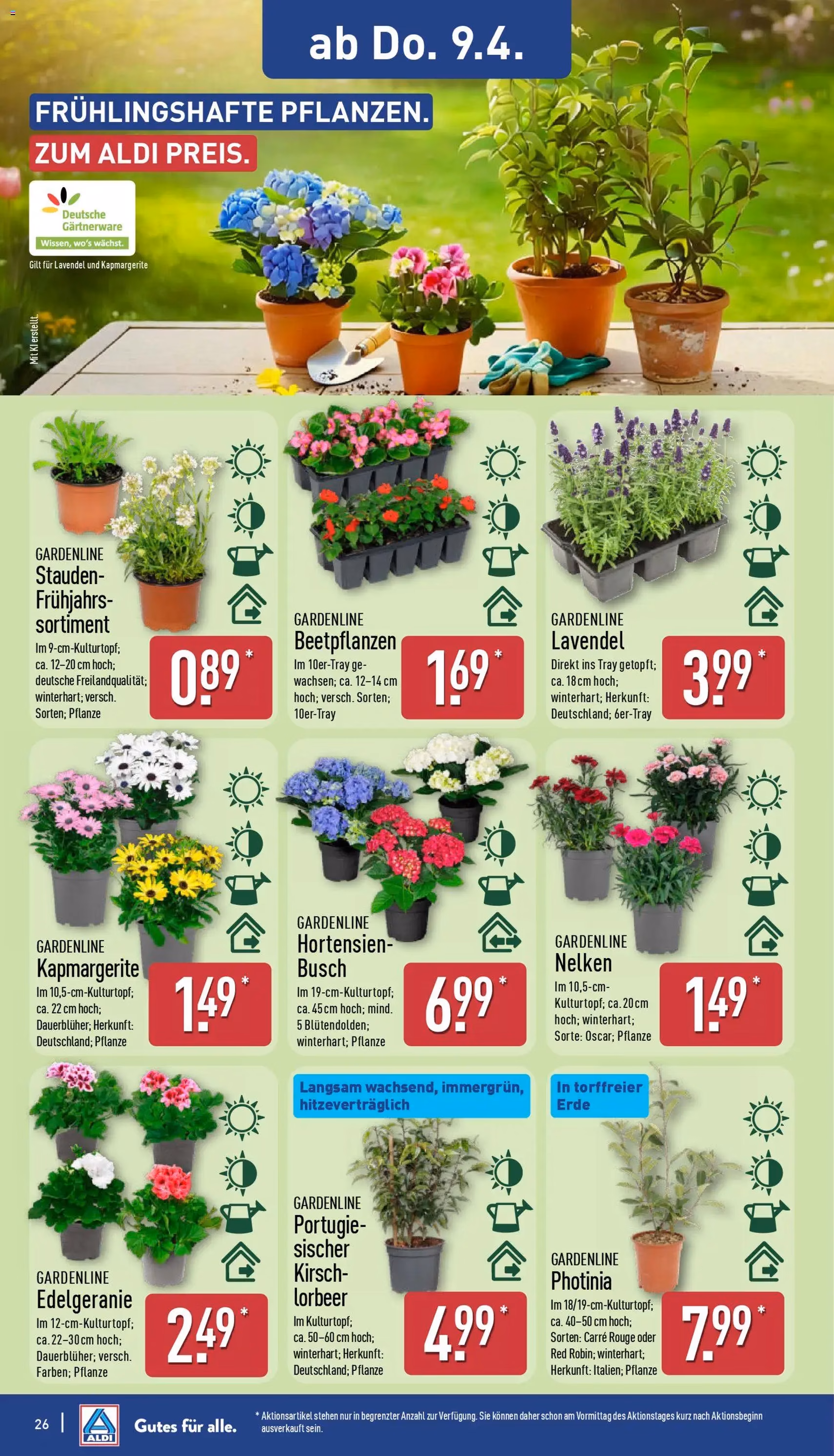Aldi Prospekt - Gültiger Prospekt ab 07.04.2026, Seite 26 von insgesamt 39