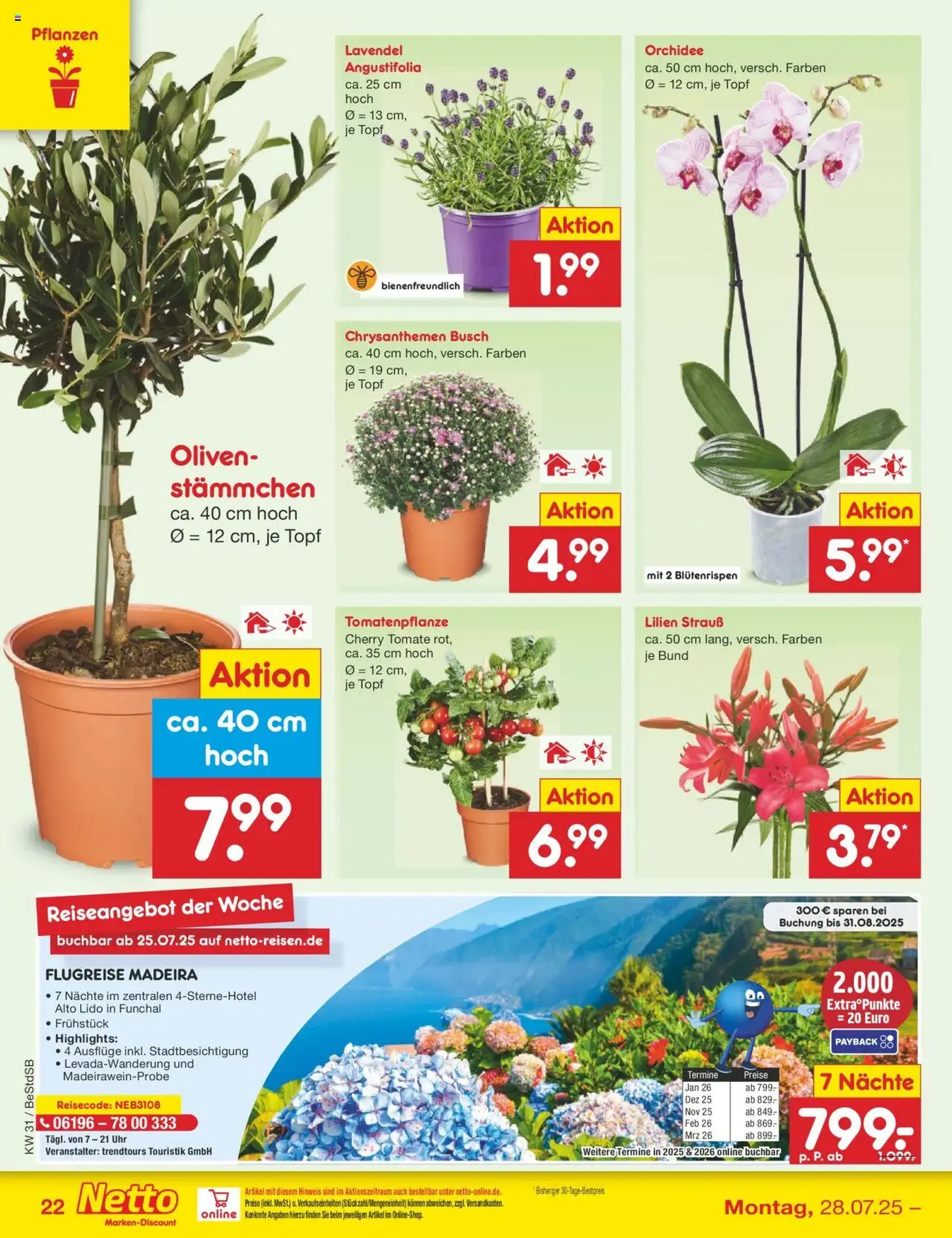 Netto Marken-Discount Prospekt - Gültiger Prospekt ab 28.07.2025, Seite 40 von insgesamt 65 Netto Marken-Discount Prospekt - Gültiger Prospekt ab 28.07.2025, Seite 40 von insgesamt 65