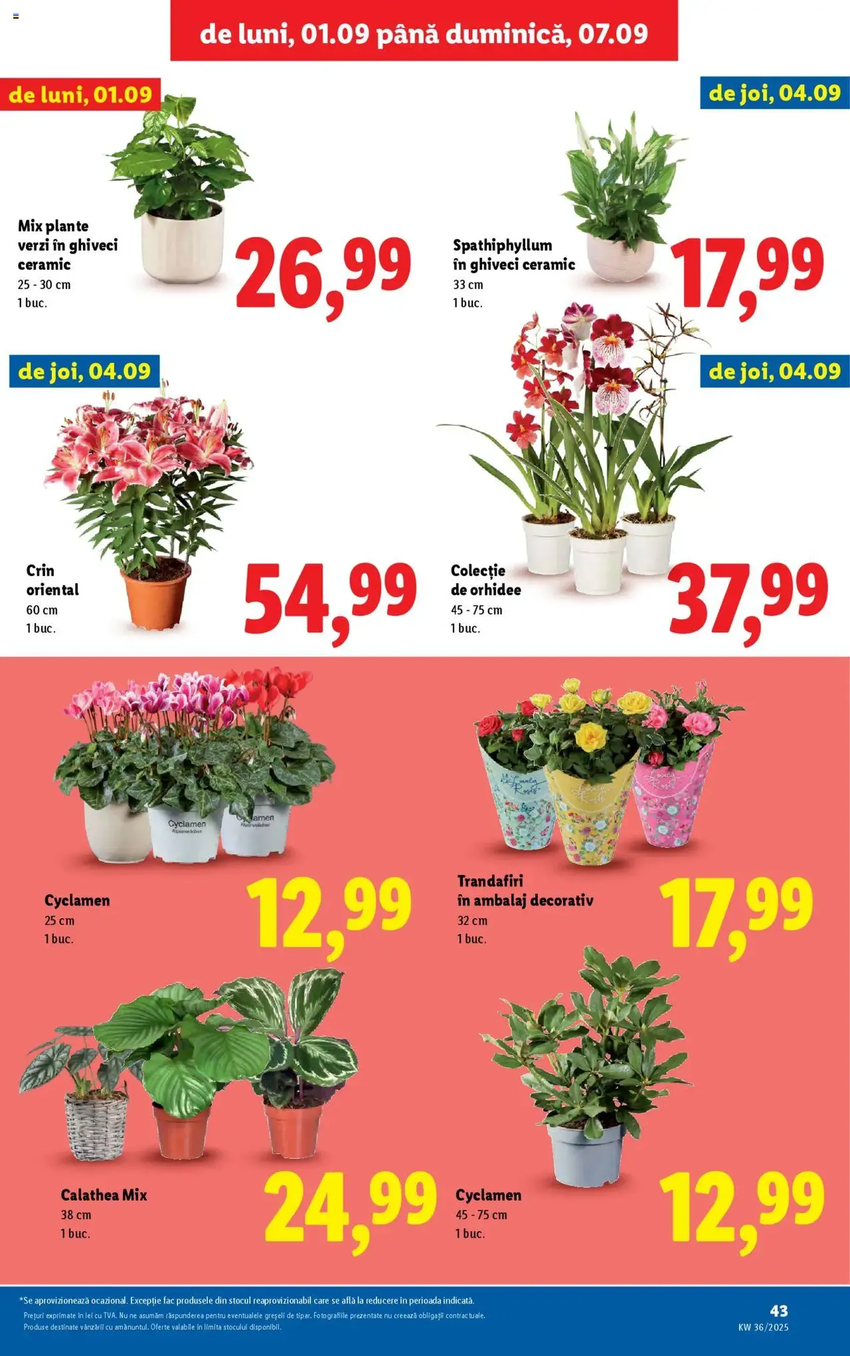 Catalog Lidl - cataloage valabile începând cu 01.09.2025 pagina 43 din 76 Catalog Lidl - cataloage valabile începând cu 01.09.2025 pagina 43 din 76