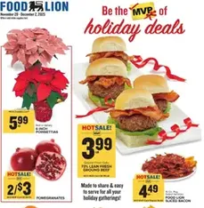 Food Lion Weekly Ad - Flyer preview valid from 11/28/2025