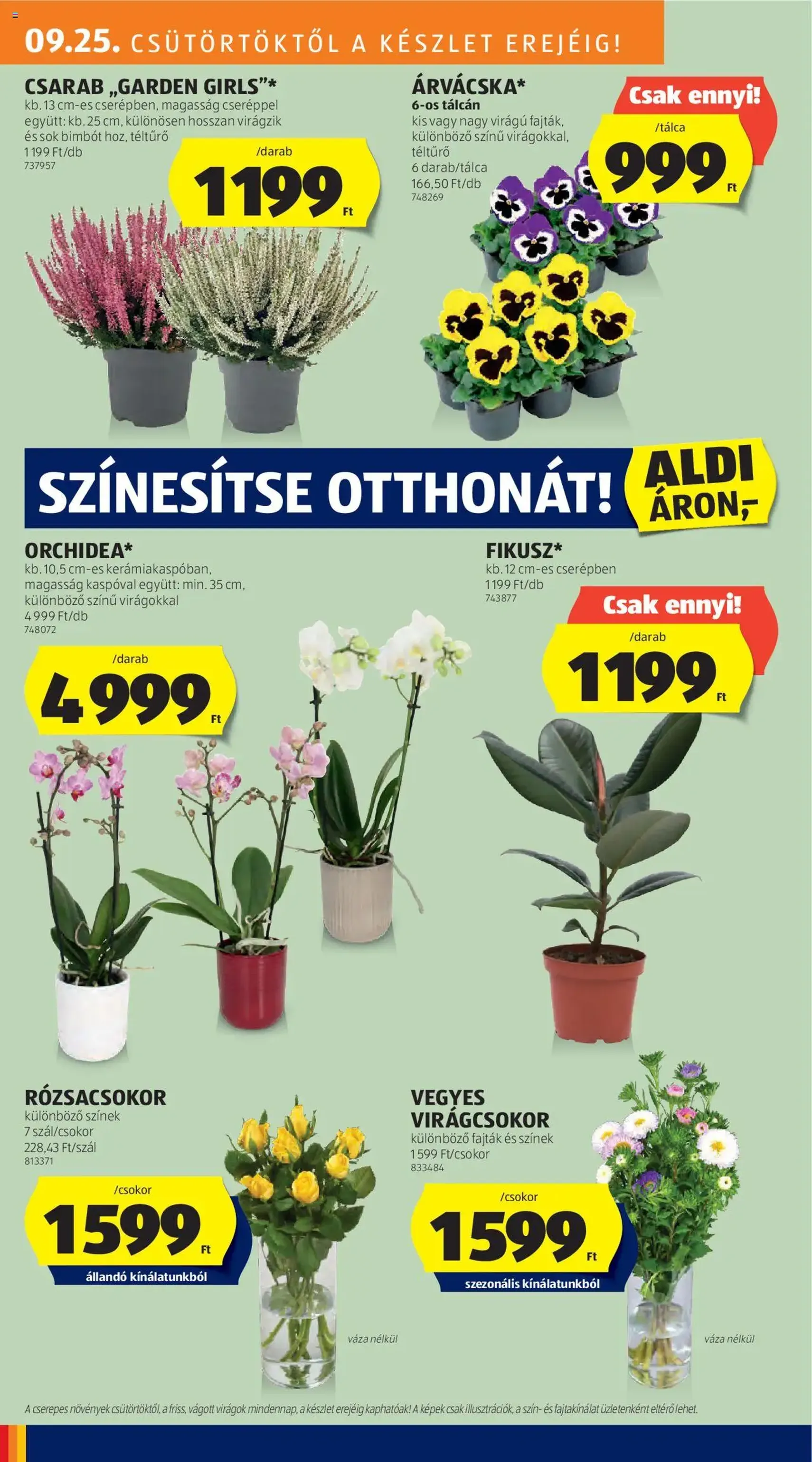 Aldi Akciós újság - 2025.09.25. érvényes szórólap 26 oldal 51 oldalból Aldi Akciós újság - 2025.09.25. érvényes szórólap 26 oldal 51 oldalból