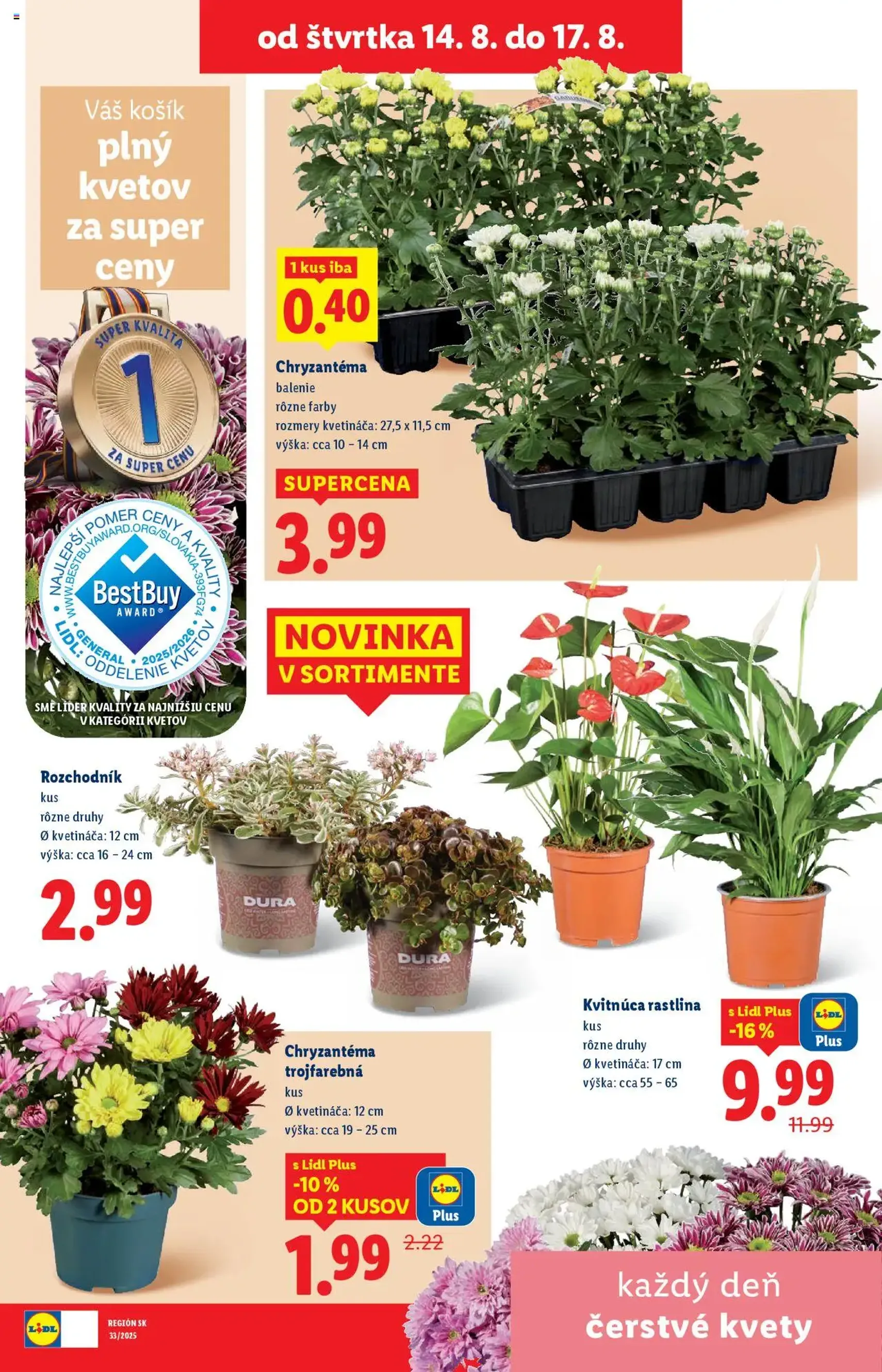 Lidl leták - platný leták od 11.08.2025 strana 84 z 93