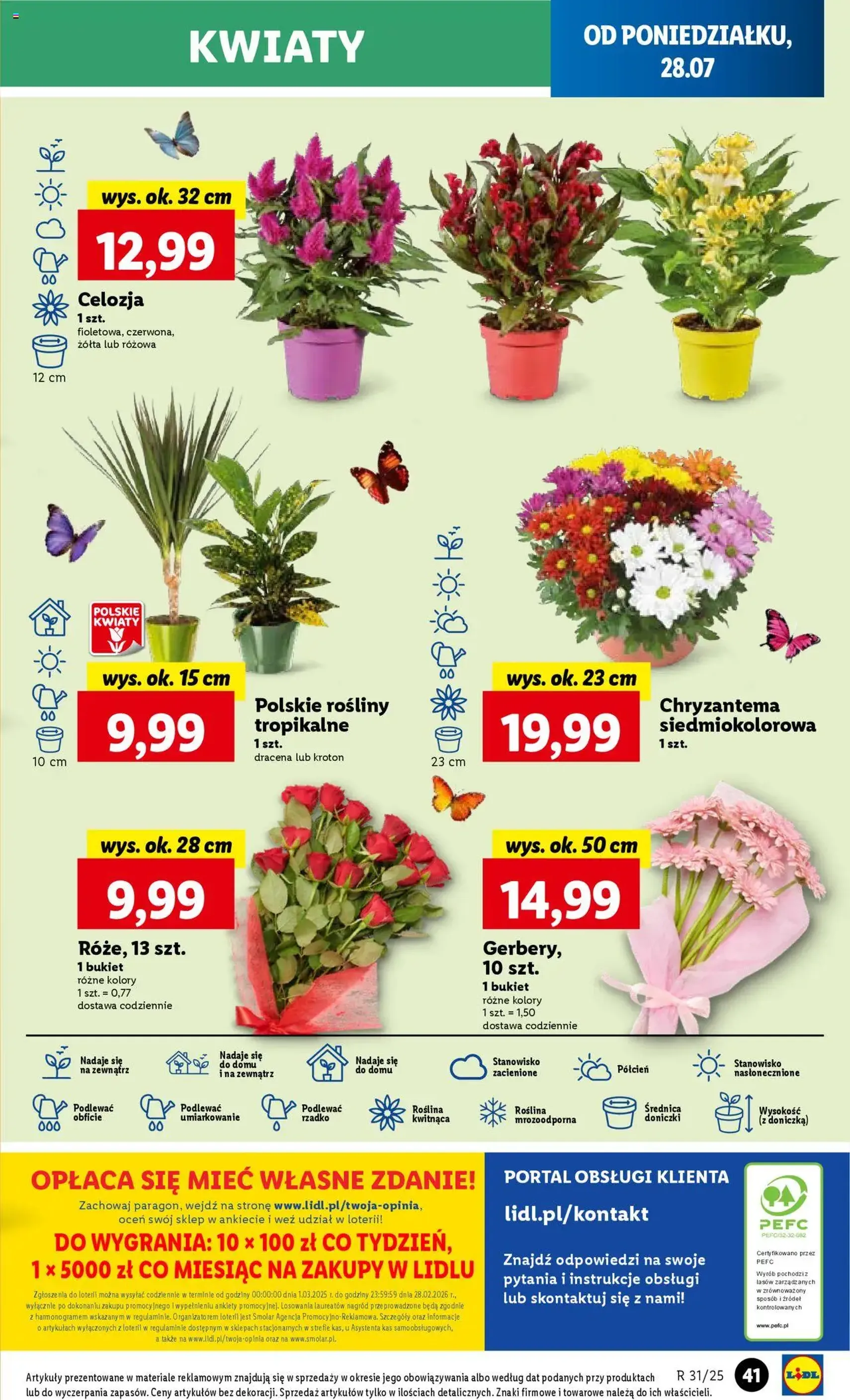 Lidl Gazetka - ważny gazetka od 28.07.2025 strona 49 z 62 Lidl Gazetka - ważny gazetka od 28.07.2025 strona 49 z 62