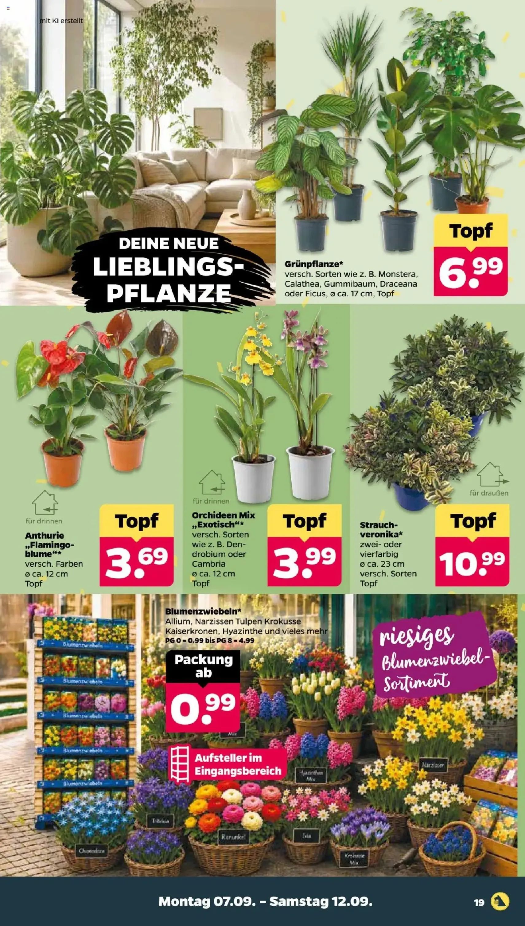 Netto Prospekt - Gültiger Prospekt ab 07.09.2026, Seite 21 von insgesamt 45