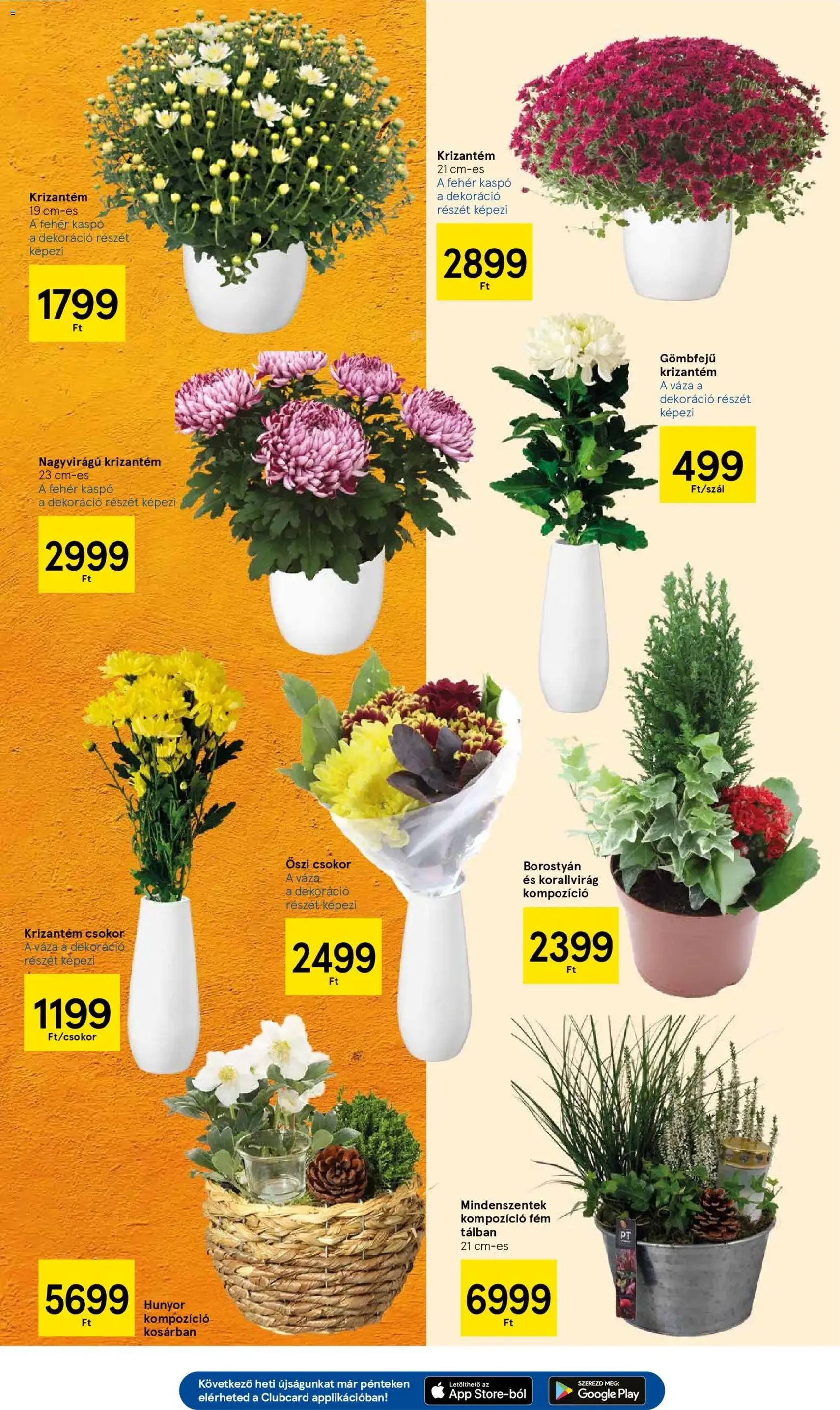 Tesco Hipermarket - Akciós újság - 2025.10.30. érvényes szórólap 11 oldal 32 oldalból Tesco Hipermarket - Akciós újság - 2025.10.30. érvényes szórólap 11 oldal 32 oldalból